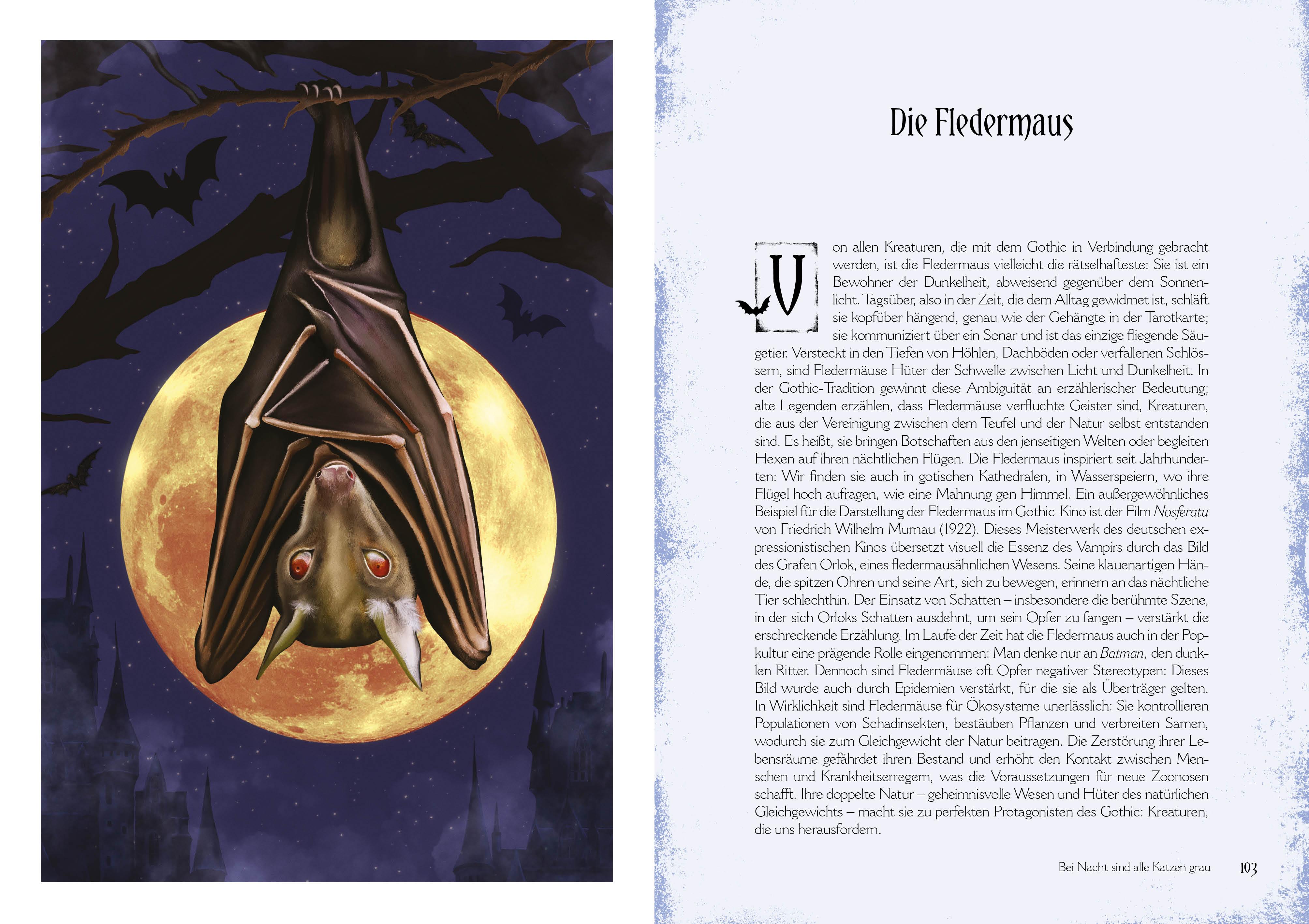 Beispielinhalt (Bild) Gothic-Hexenkunst