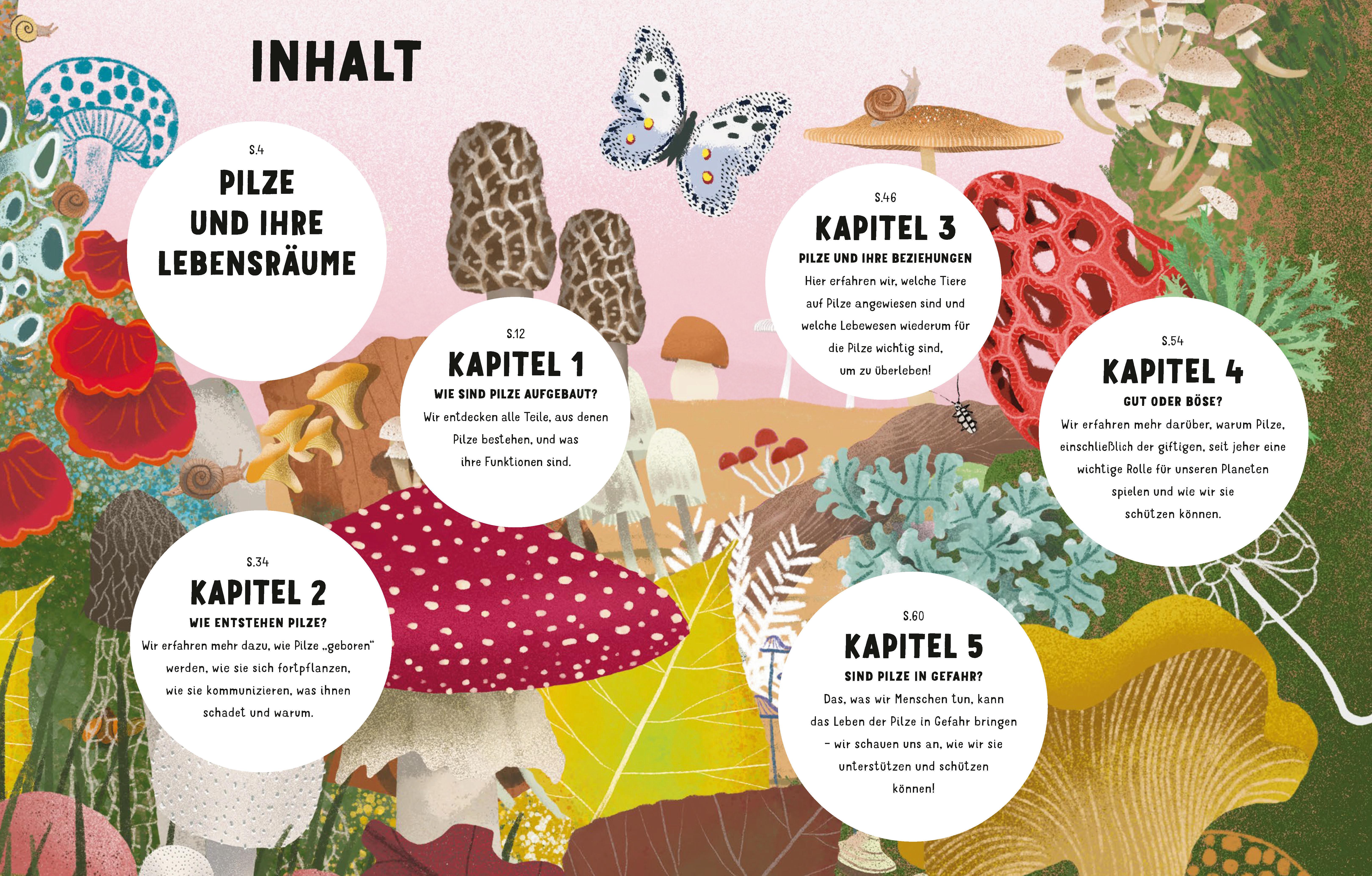 Beispielinhalt (Bild) Die Geheimnisse der Pilze