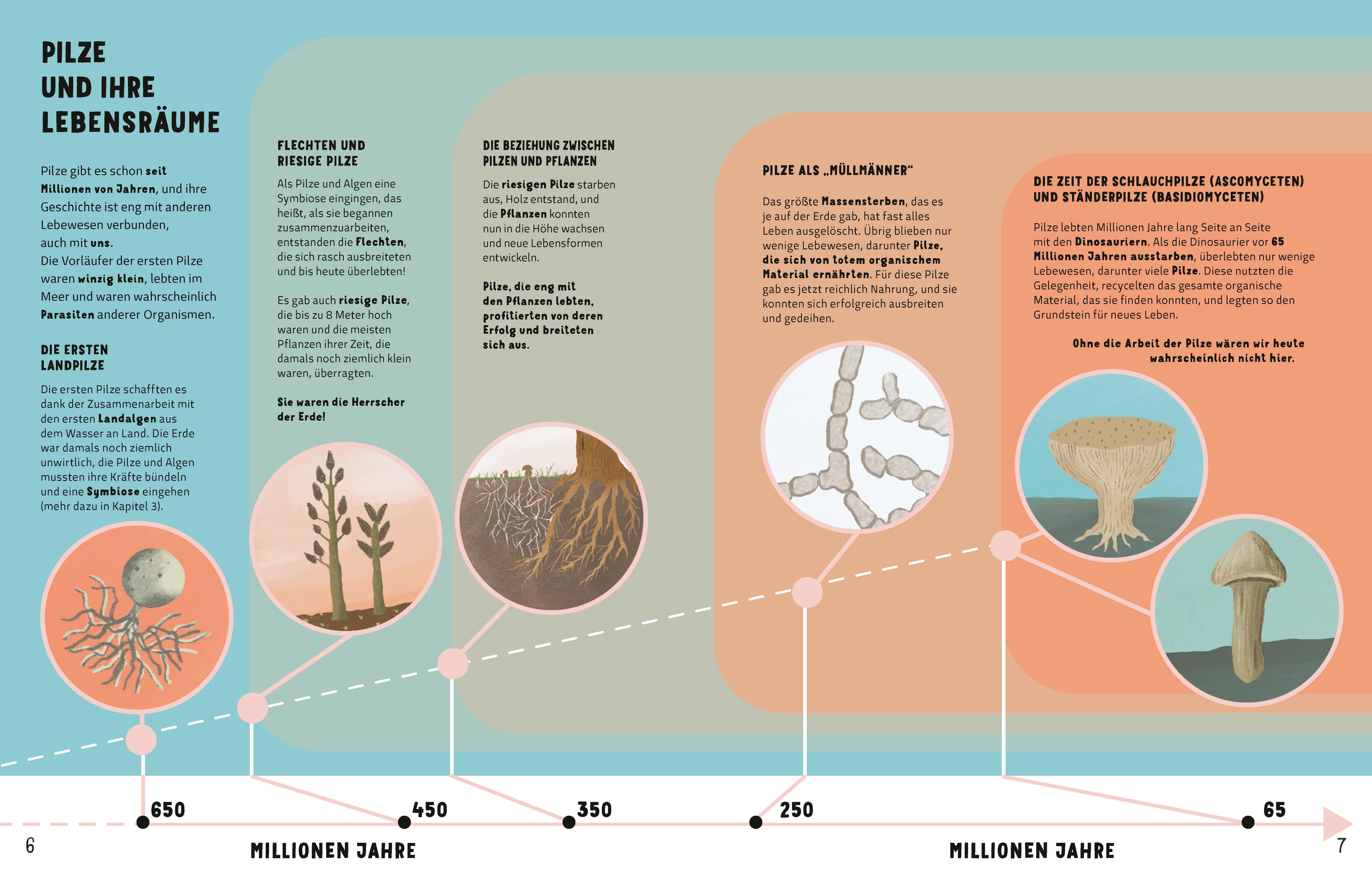 Beispielinhalt (Bild) Die Geheimnisse der Pilze