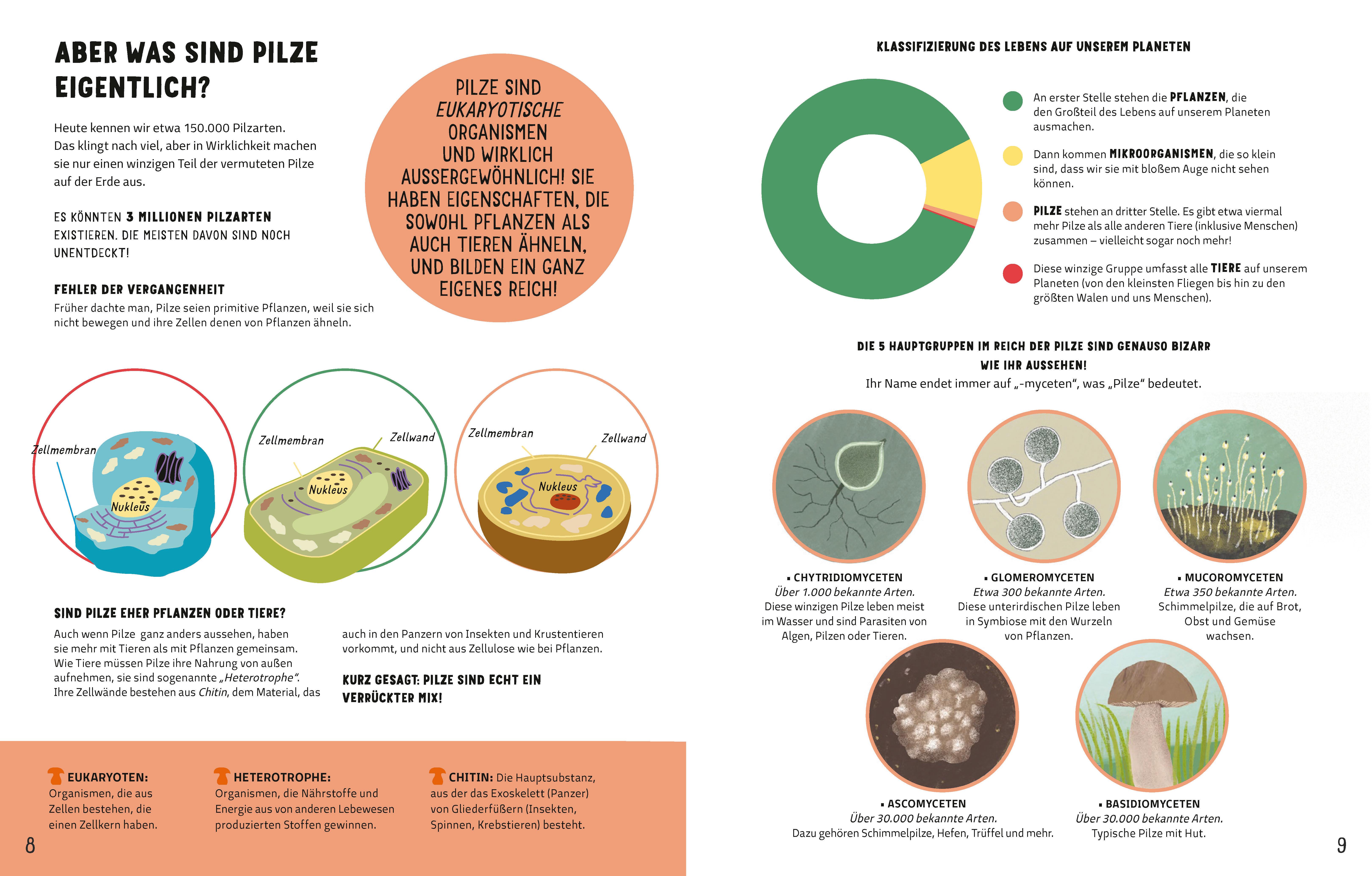 Beispielinhalt (Bild) Die Geheimnisse der Pilze