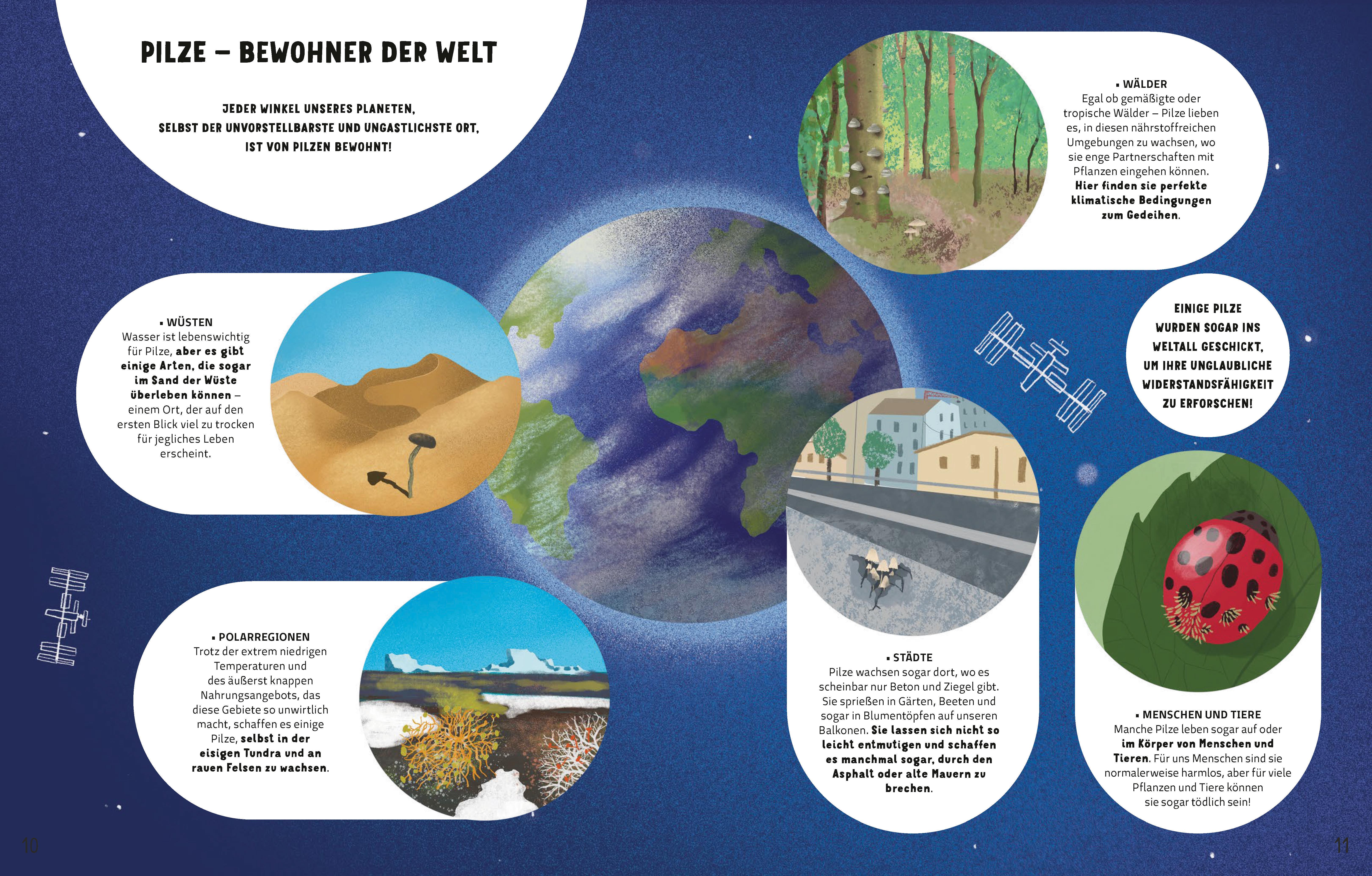 Beispielinhalt (Bild) Die Geheimnisse der Pilze