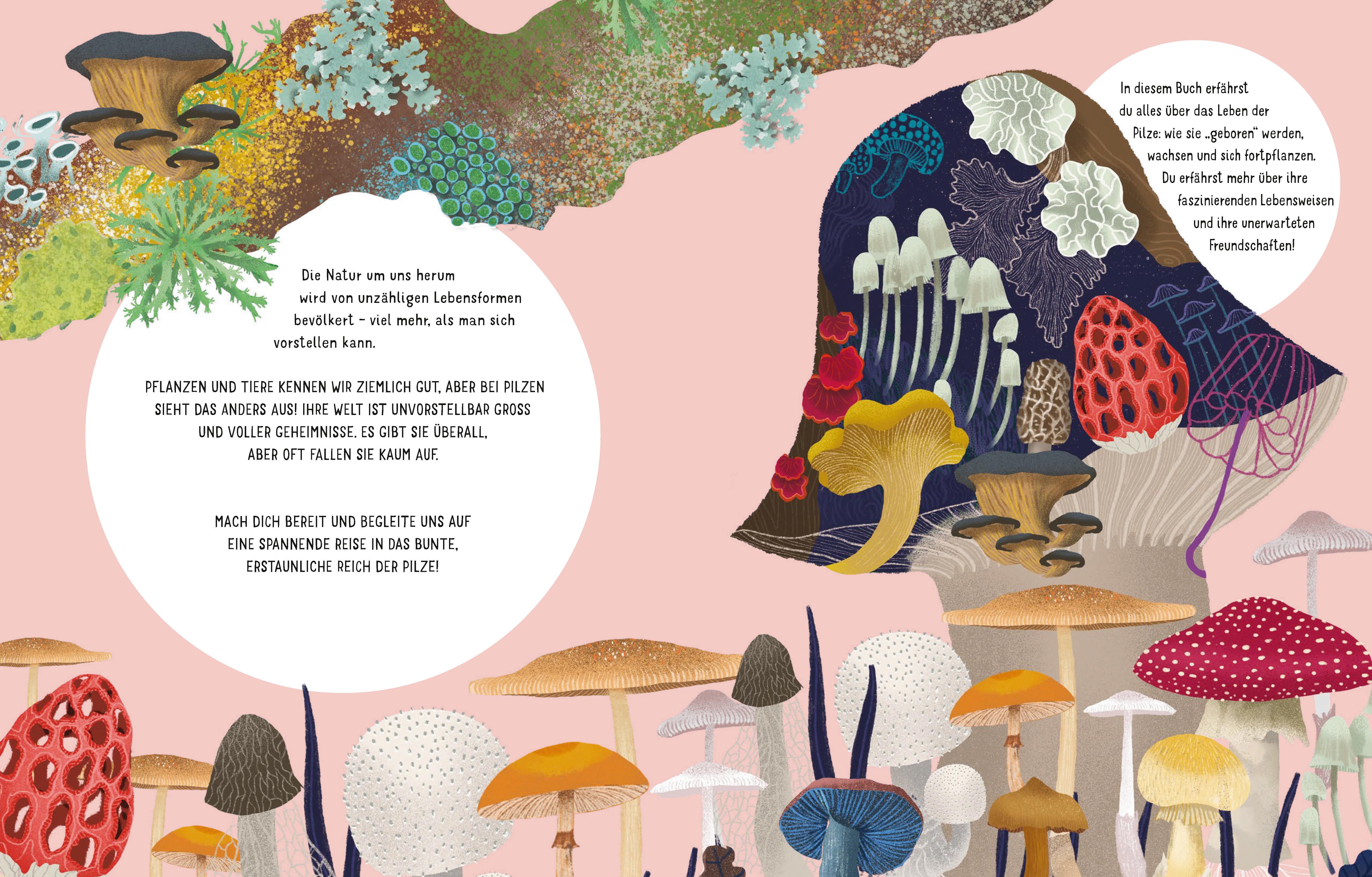 Beispielinhalt (Bild) Die Geheimnisse der Pilze