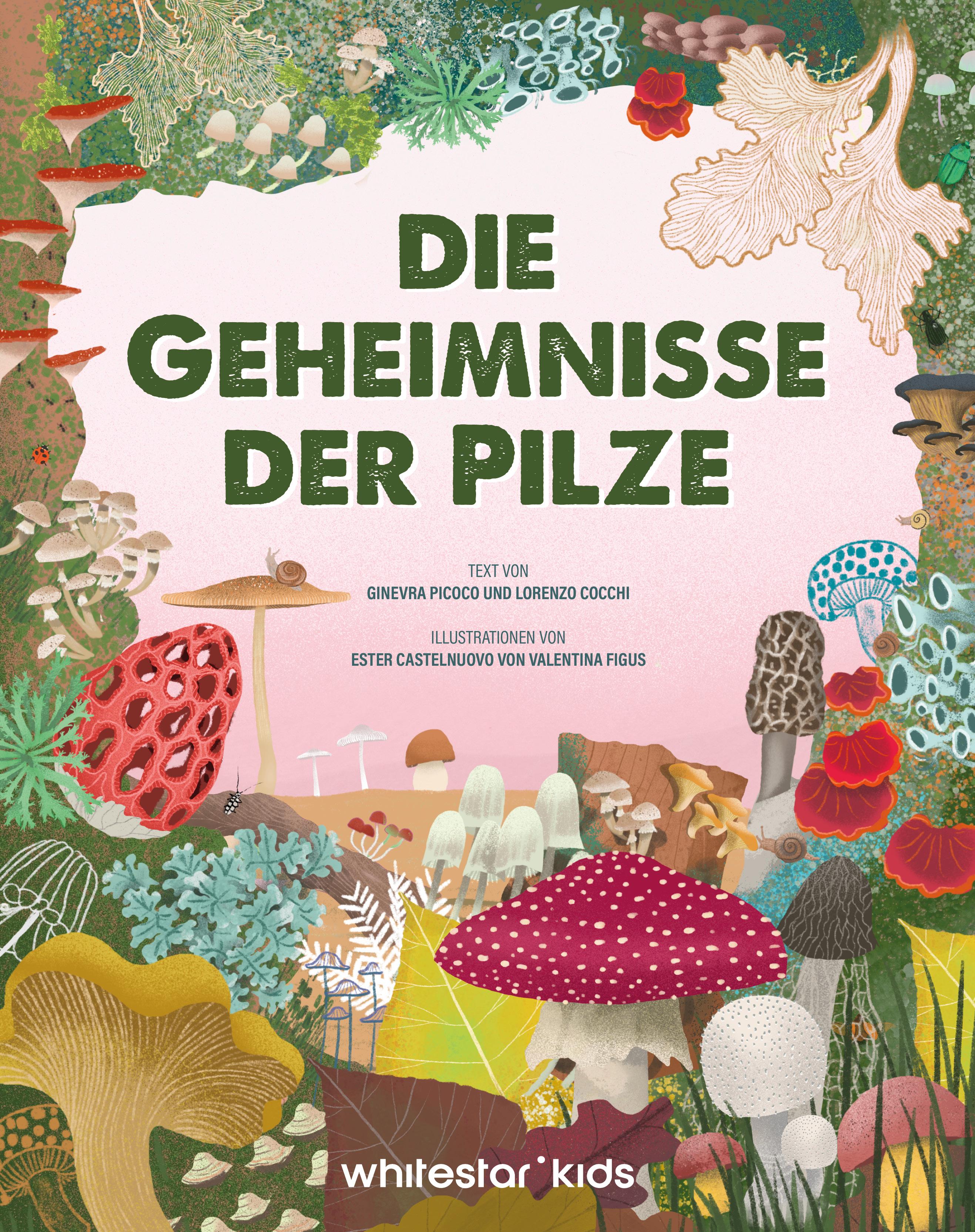 Vorderes Coverbild Die Geheimnisse der Pilze