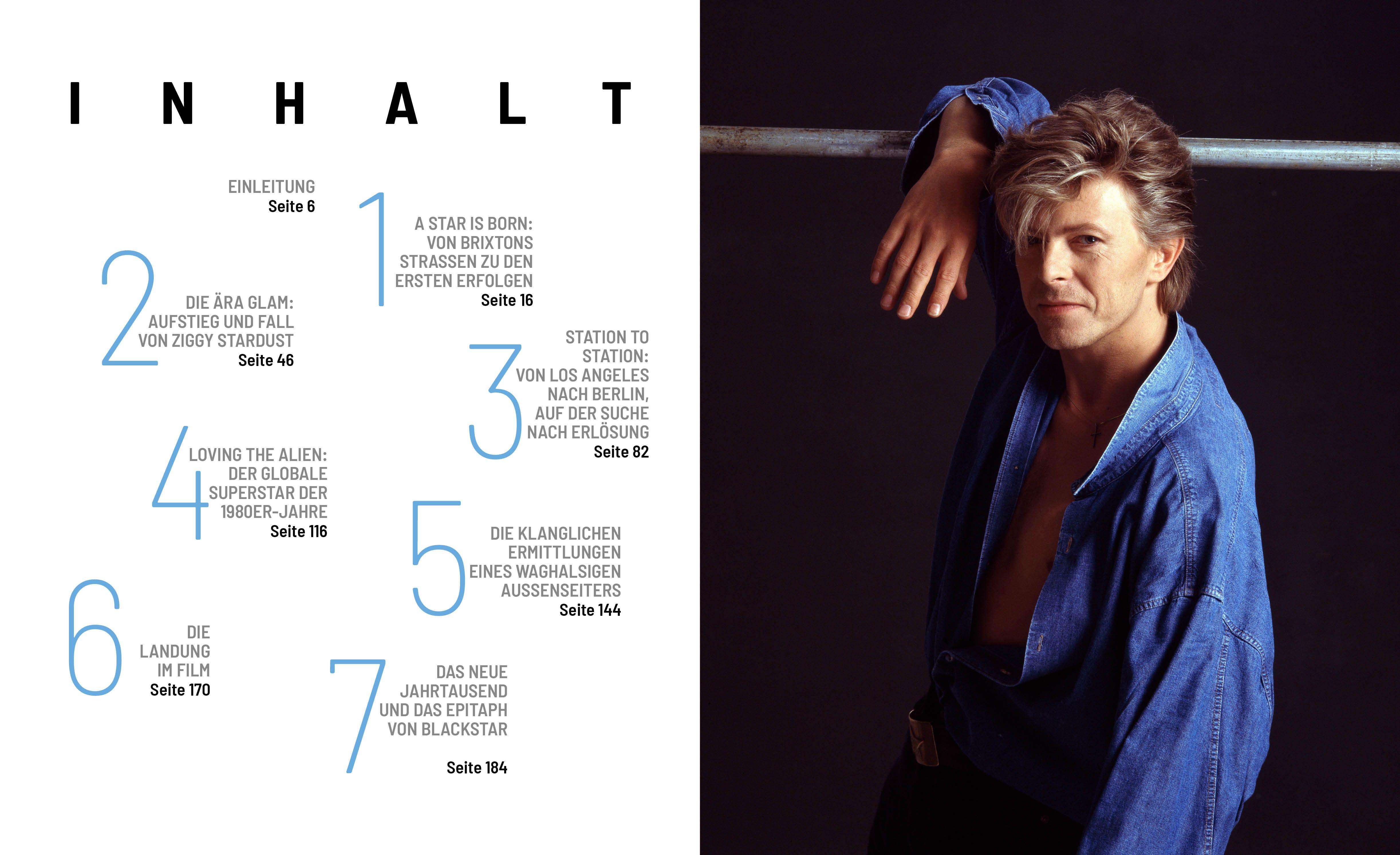 Beispielinhalt (Bild) David Bowie