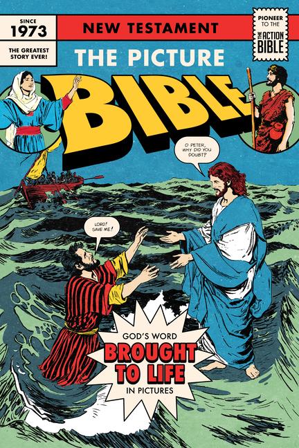 Vorderes Coverbild The Picture Bible New Testament