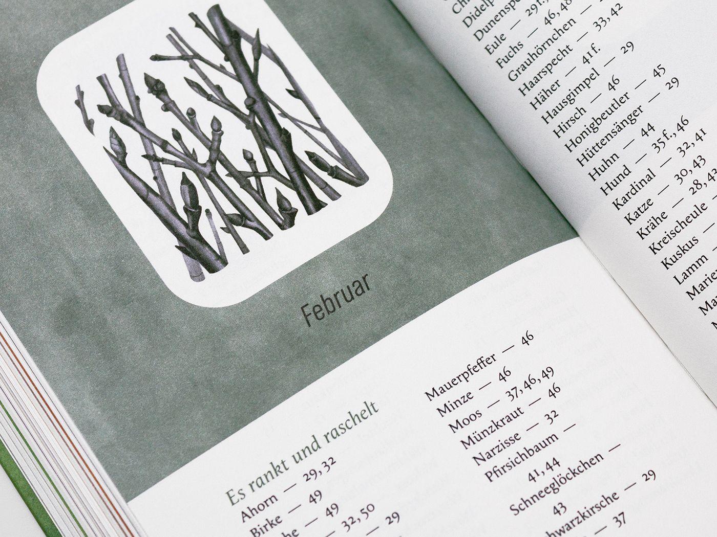 Beispielinhalt (Bild) Ein Jahr in der Natur