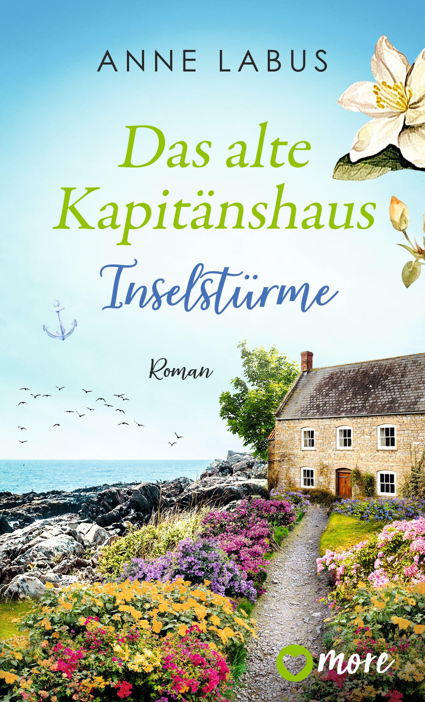 Vorderes Coverbild Das alte Kapitänshaus - Inselstürme
