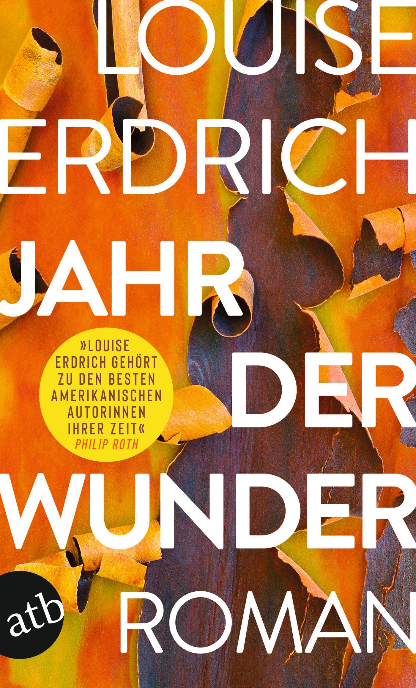 Vorderes Coverbild Jahr der Wunder