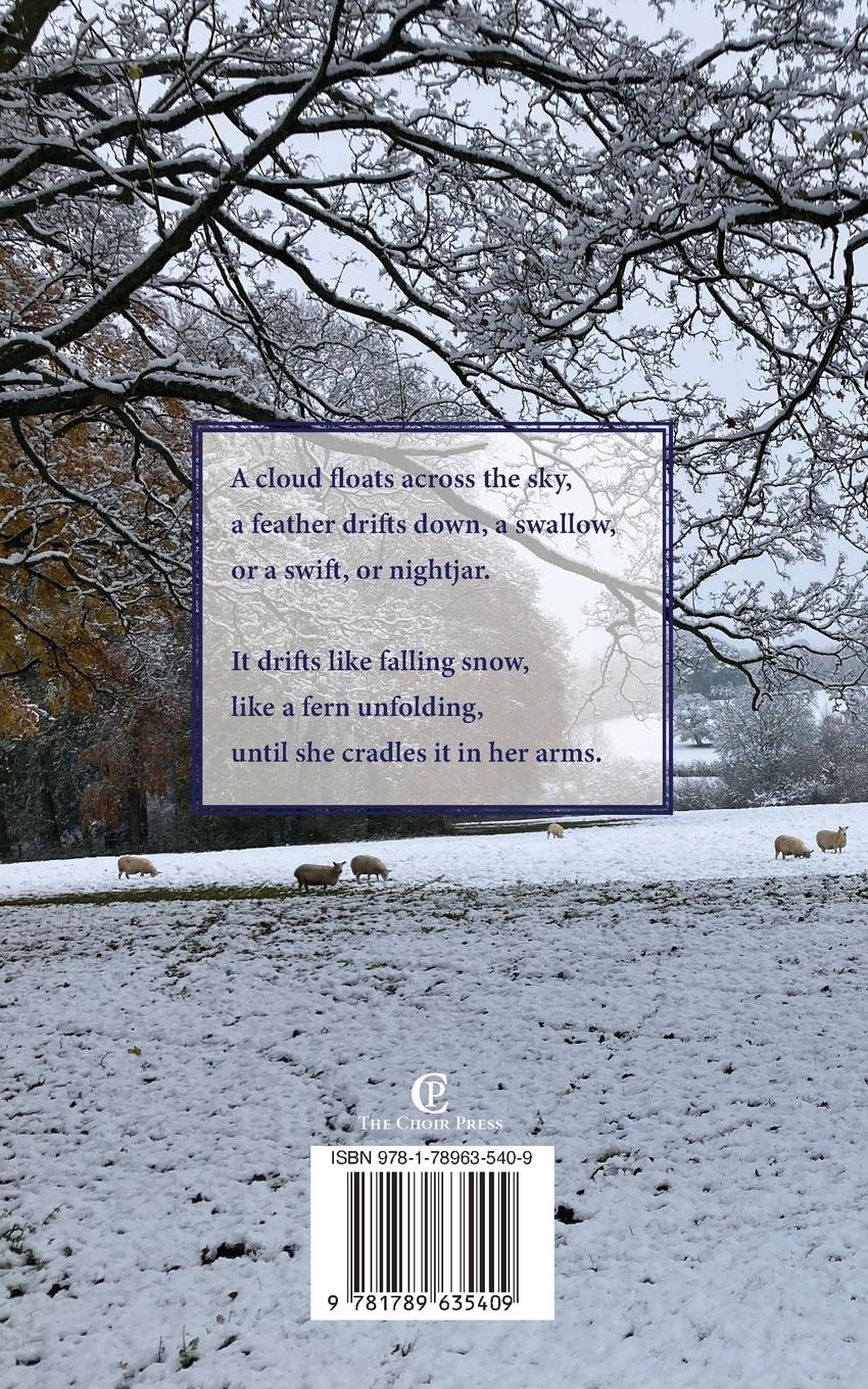 Rückseitencover Fenland Winter and other poems