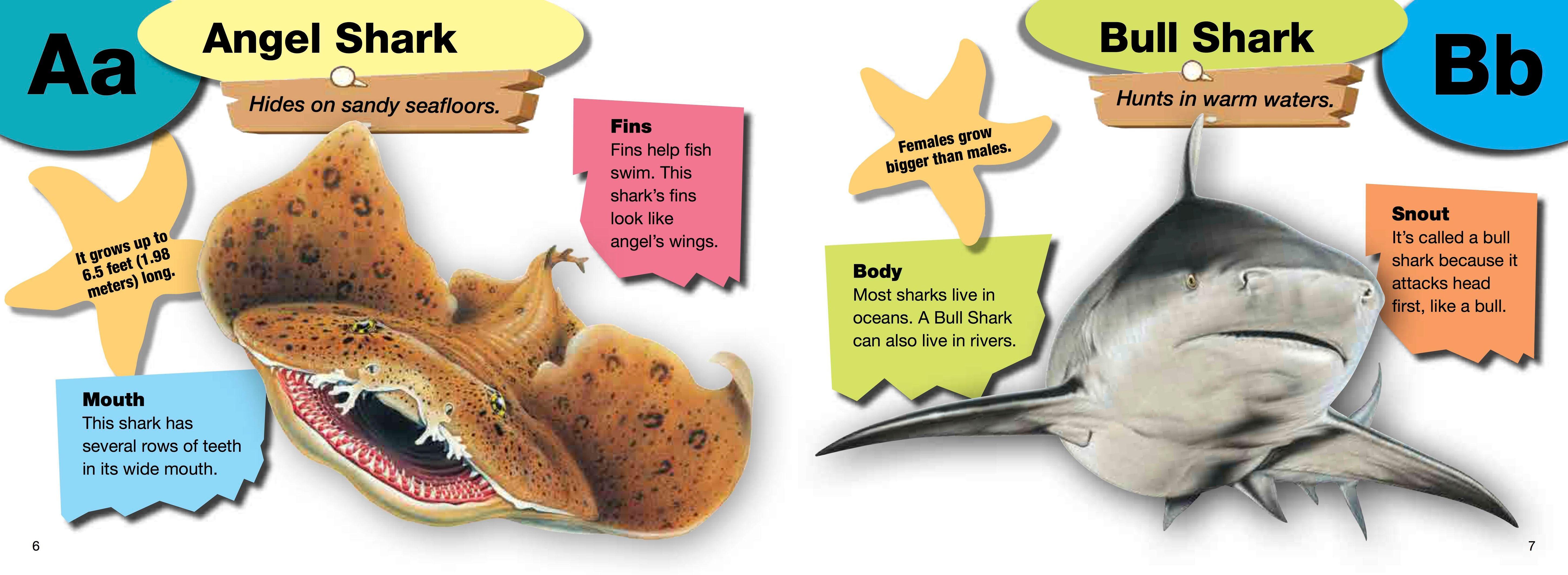 Beispielinhalt (Bild) A-Z of Sharks