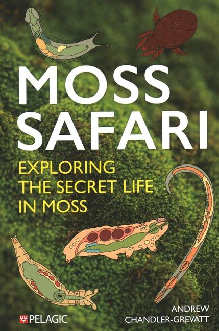 Vorderes Coverbild Moss Safari