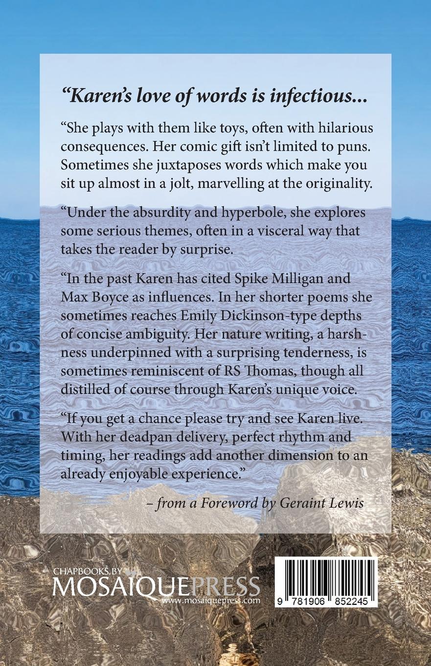 Rückseitencover More Scarecrow Than Pirate