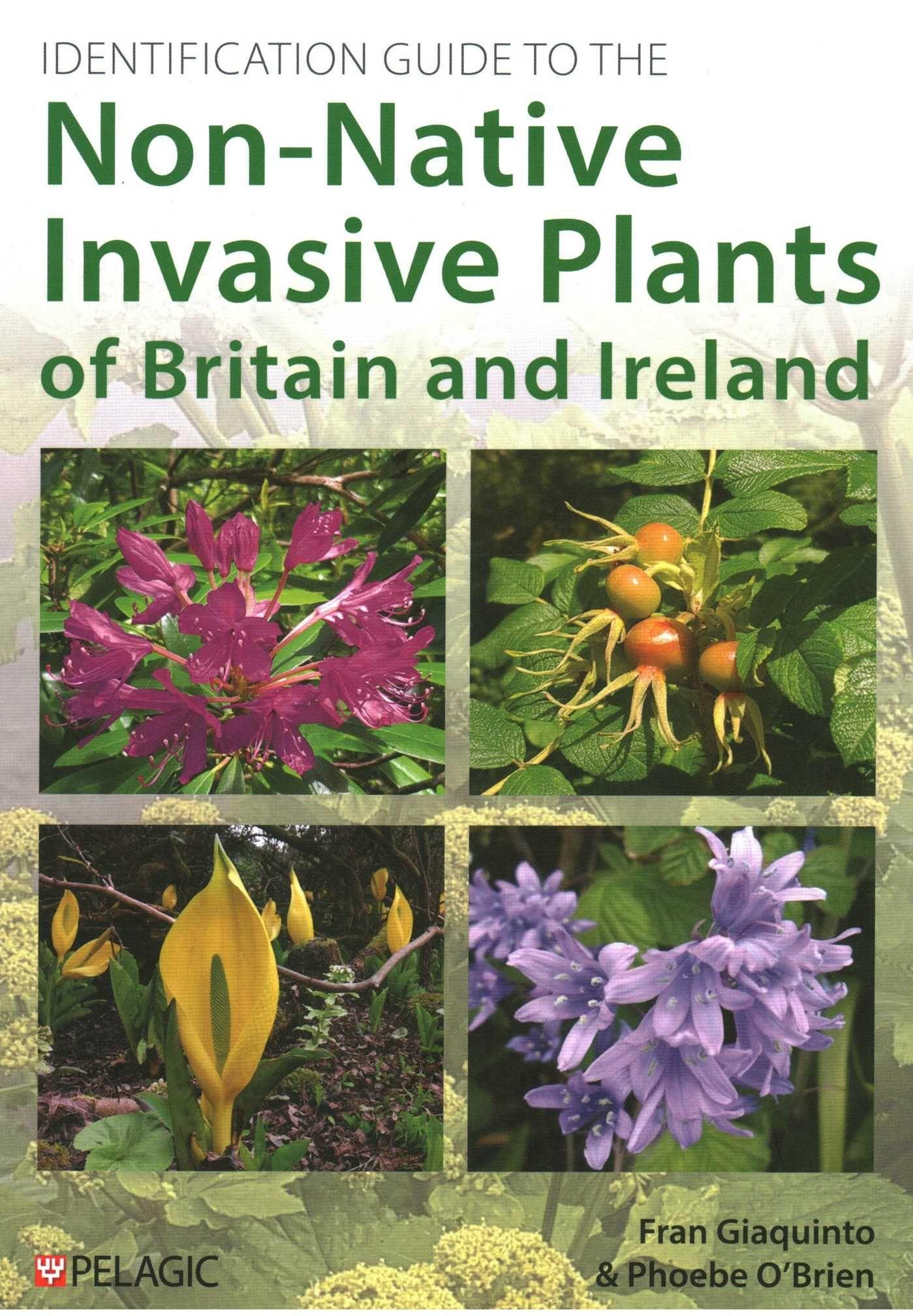 Vorderes Coverbild Identification Guide to the Non-Native Invasive Plants of Britain and Ireland