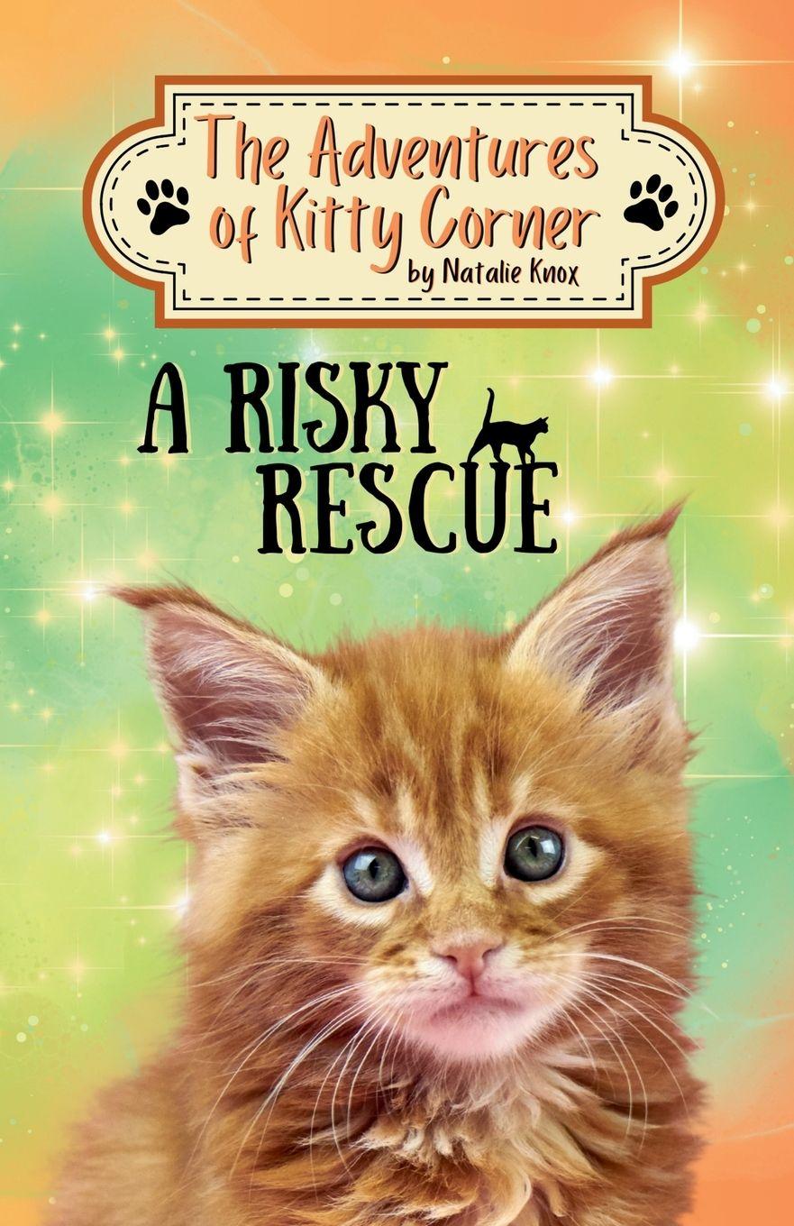 Vorderes Coverbild A Risky Rescue