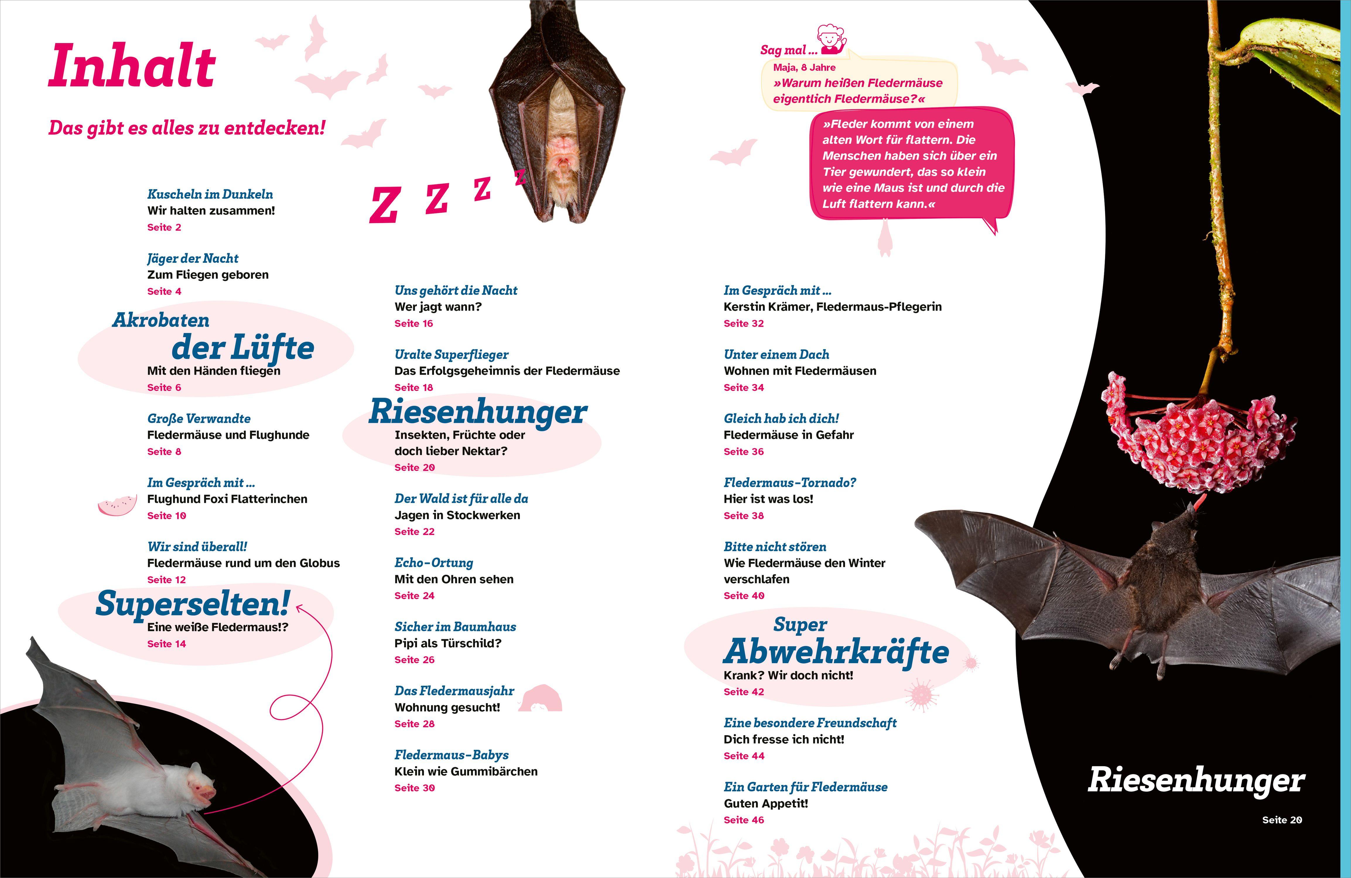 Beispielinhalt (Bild) WAS IST WAS Fledermäuse. Flink durch die Nacht