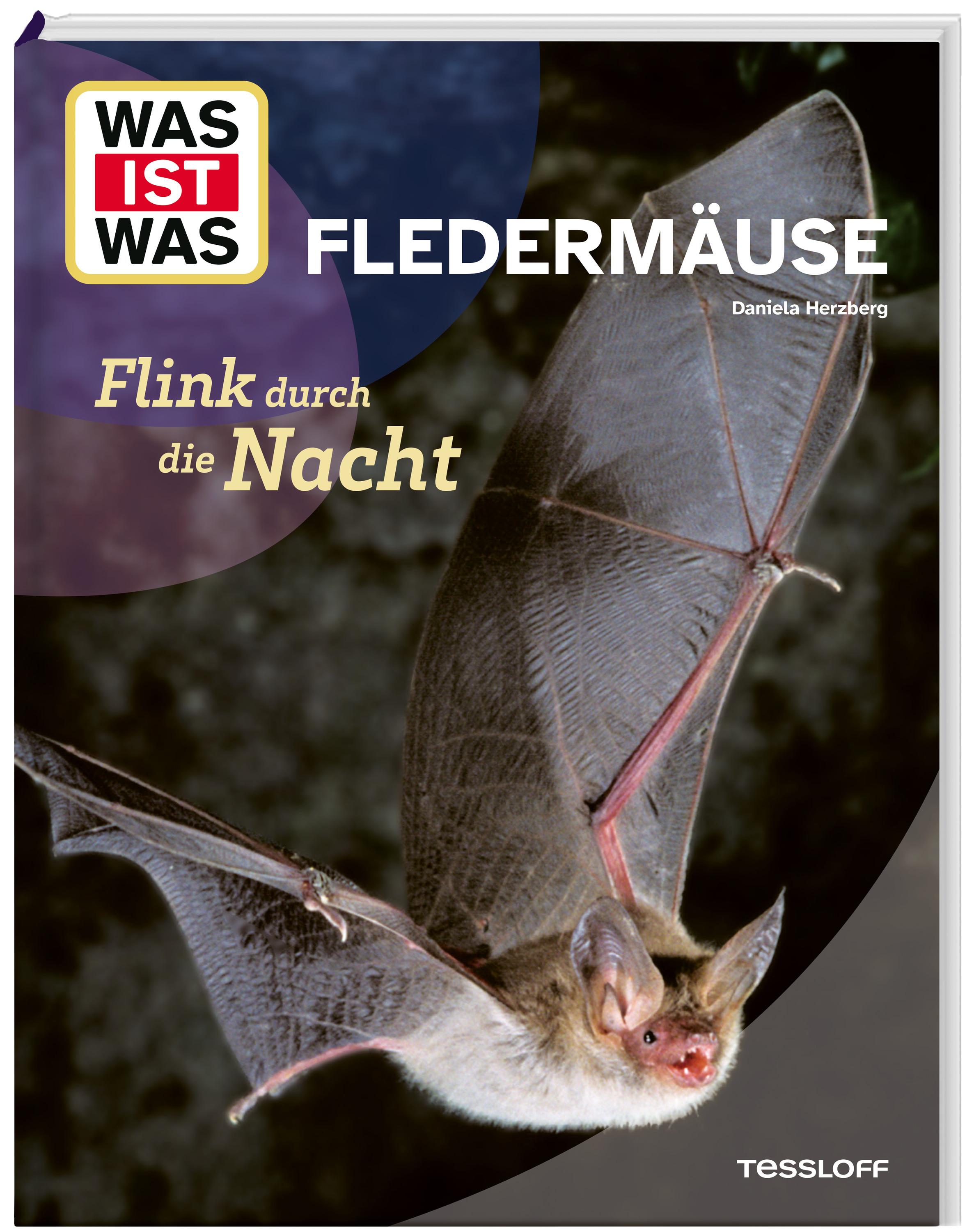 Vorderes Coverbild WAS IST WAS Fledermäuse. Flink durch die Nacht
