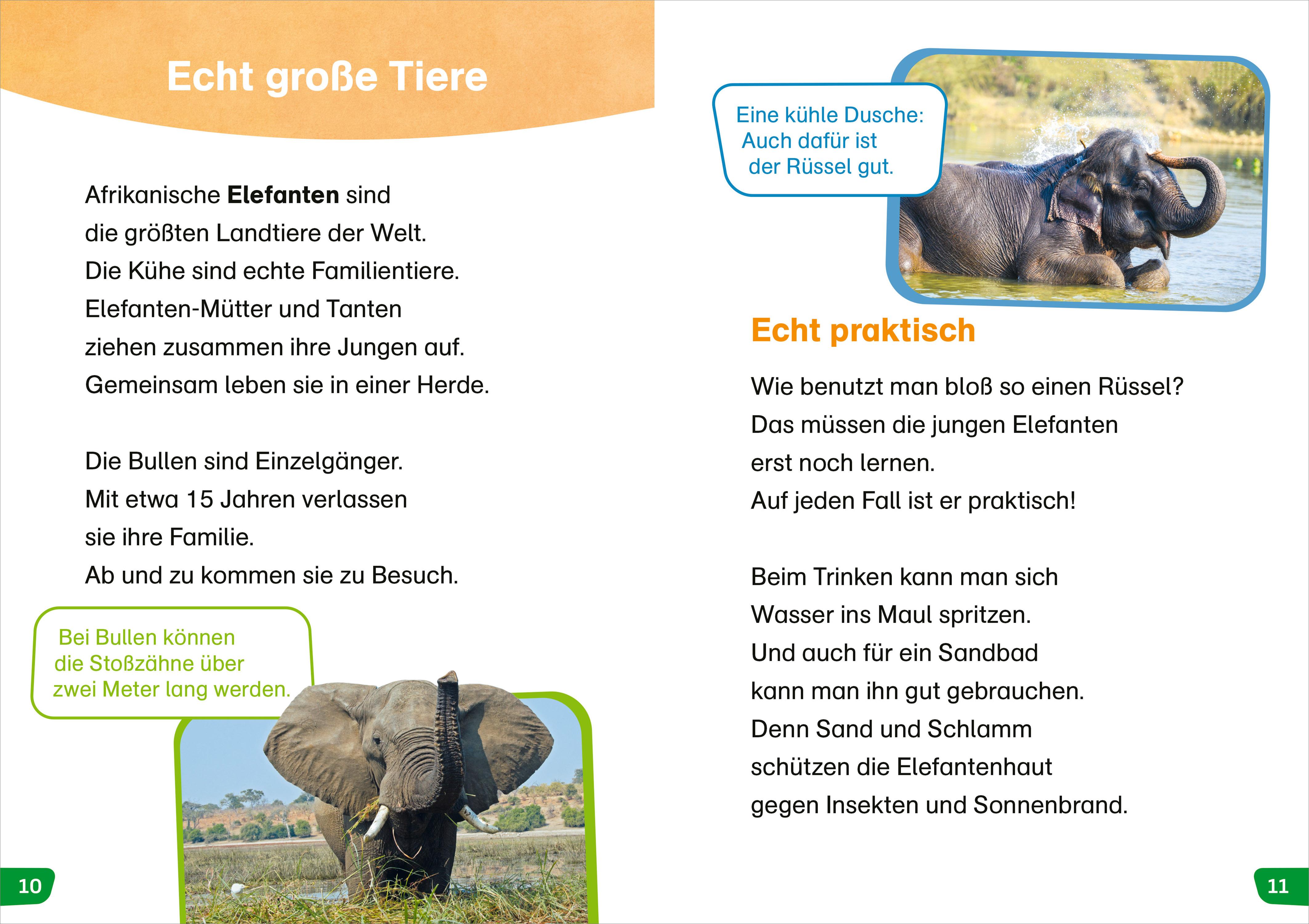 Beispielinhalt (Bild) WAS IST WAS Erstes Lesen easy! Tiere in Afrika