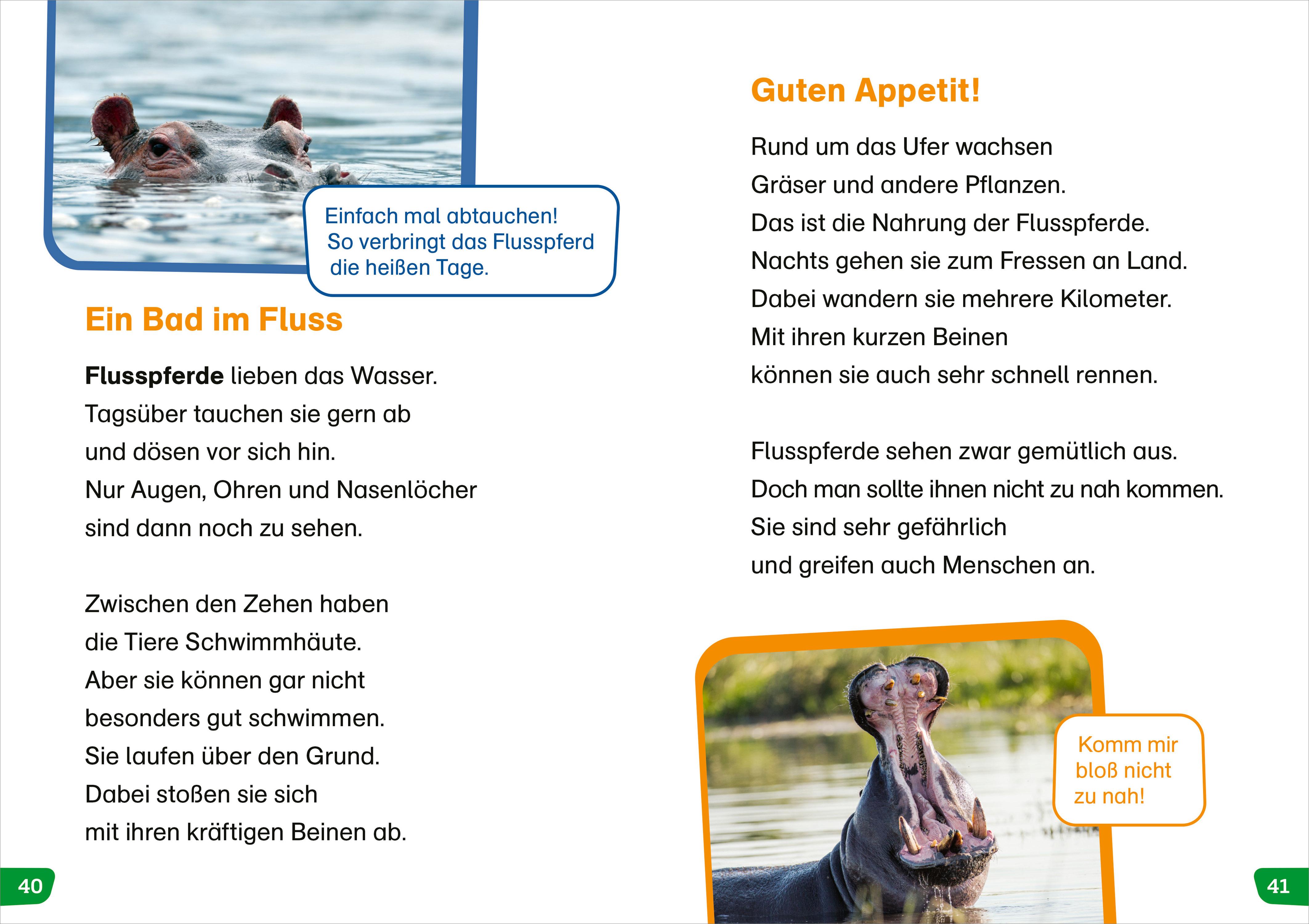 Beispielinhalt (Bild) WAS IST WAS Erstes Lesen easy! Tiere in Afrika