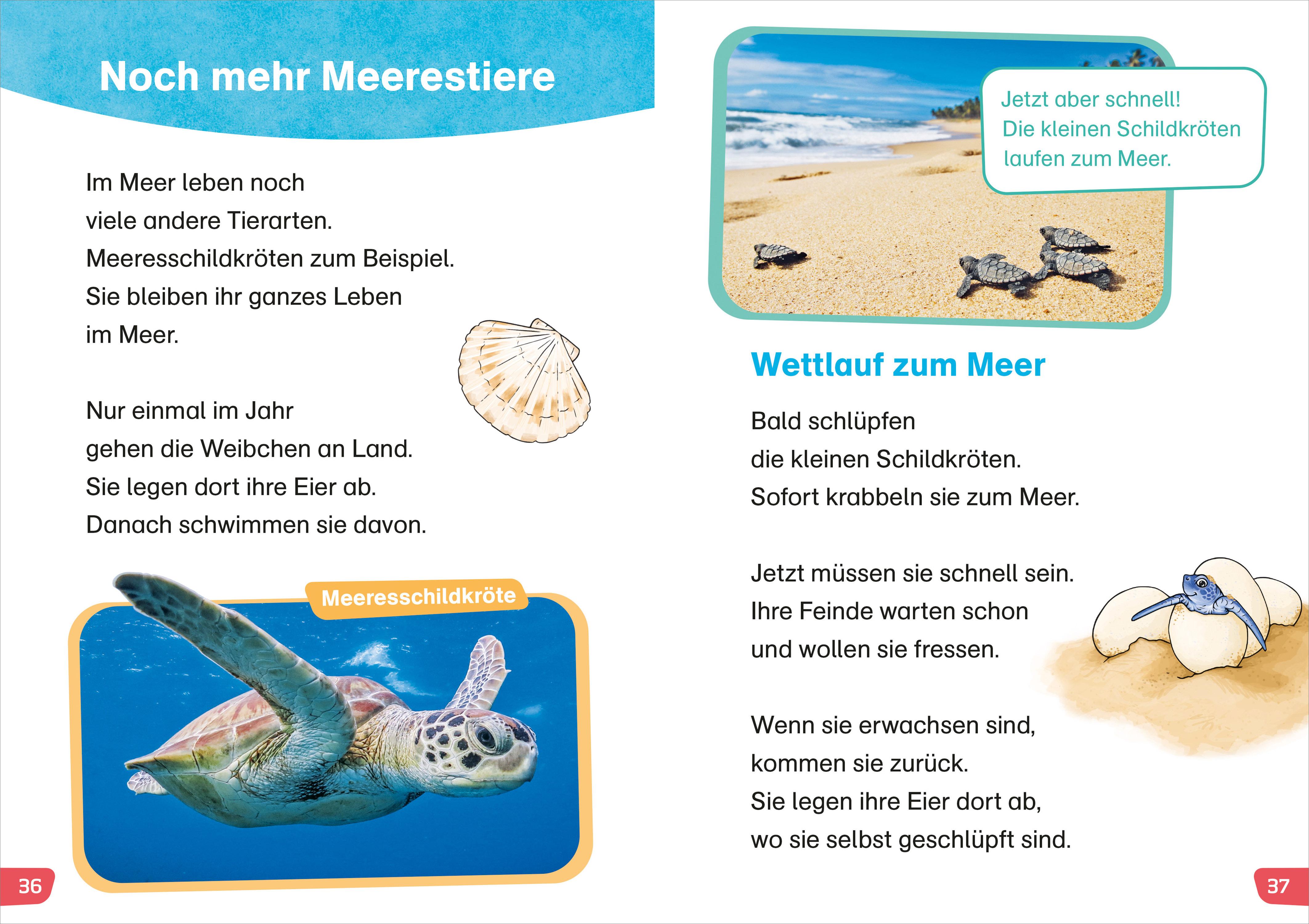 Beispielinhalt (Bild) WAS IST WAS Erstes Lesen easy! Tiere im Meer