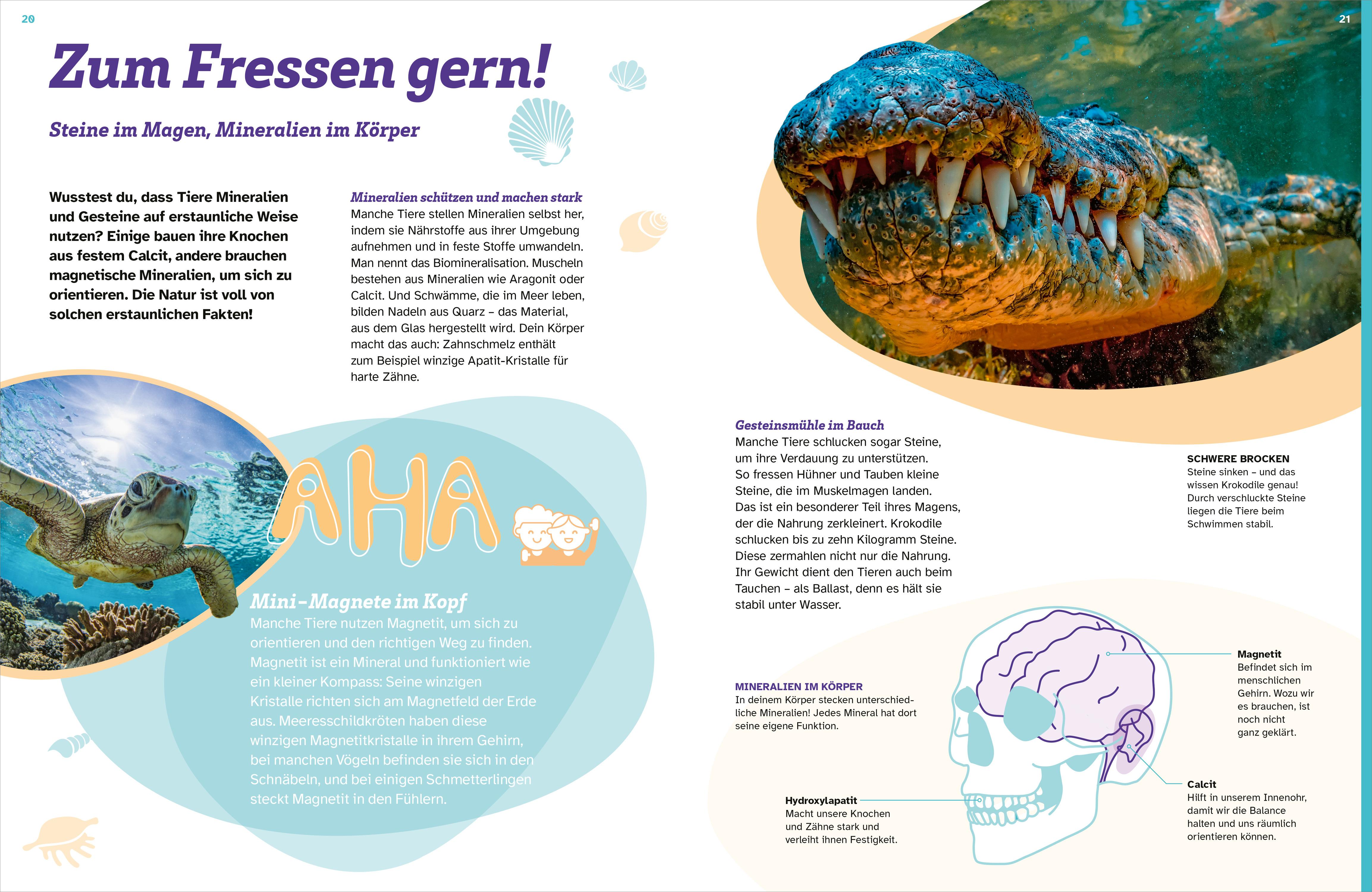 Beispielinhalt (Bild) WAS IST WAS Mineralien und Gesteine. Schätze der Natur