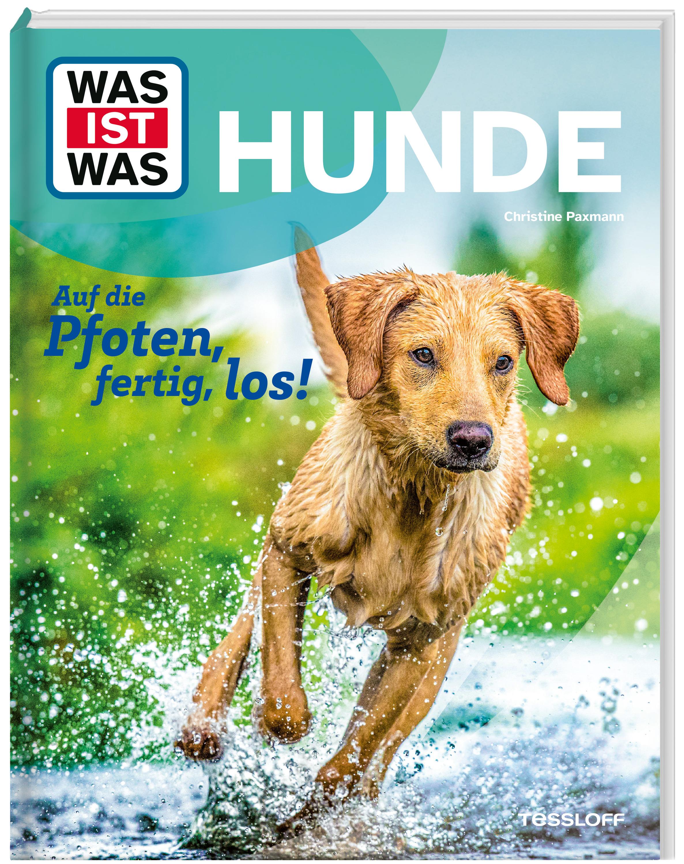 Vorderes Coverbild WAS IST WAS Hunde. Auf die Pfoten, fertig, los!