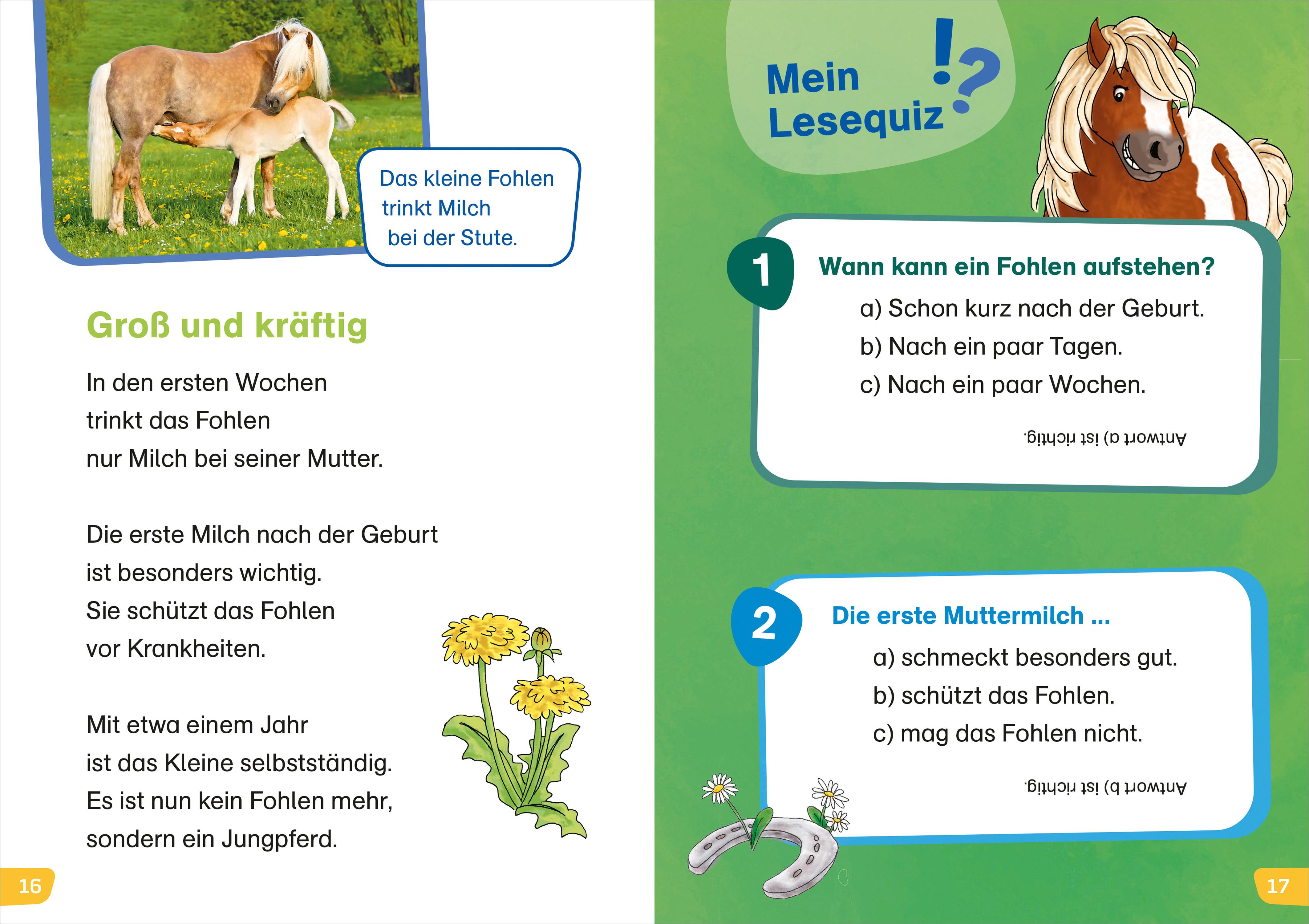 Beispielinhalt (Bild) WAS IST WAS Erstes Lesen easy! Komm mit zu den Pferden
