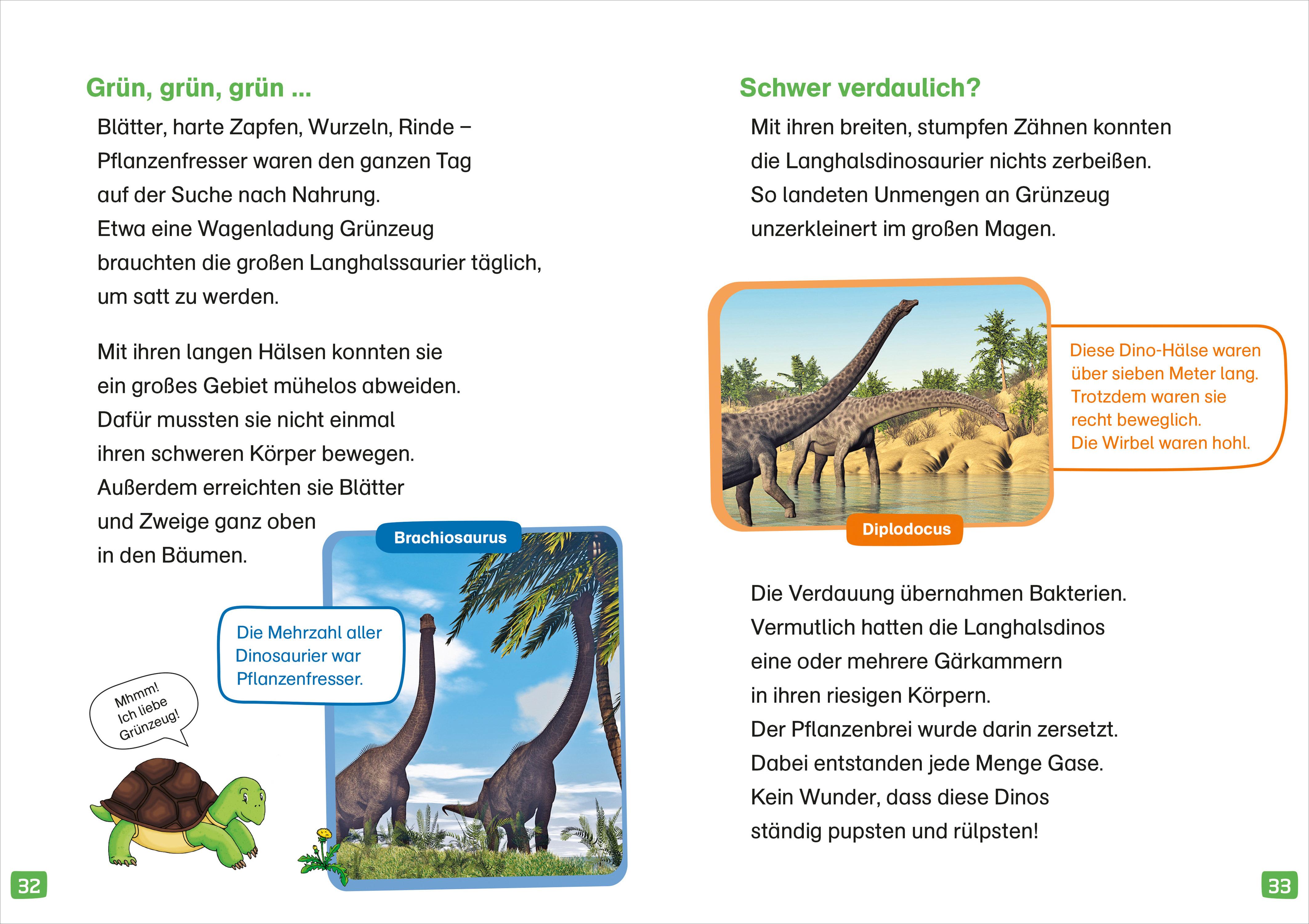 Beispielinhalt (Bild) WAS IST WAS Erstes Lesen. Dinosaurier