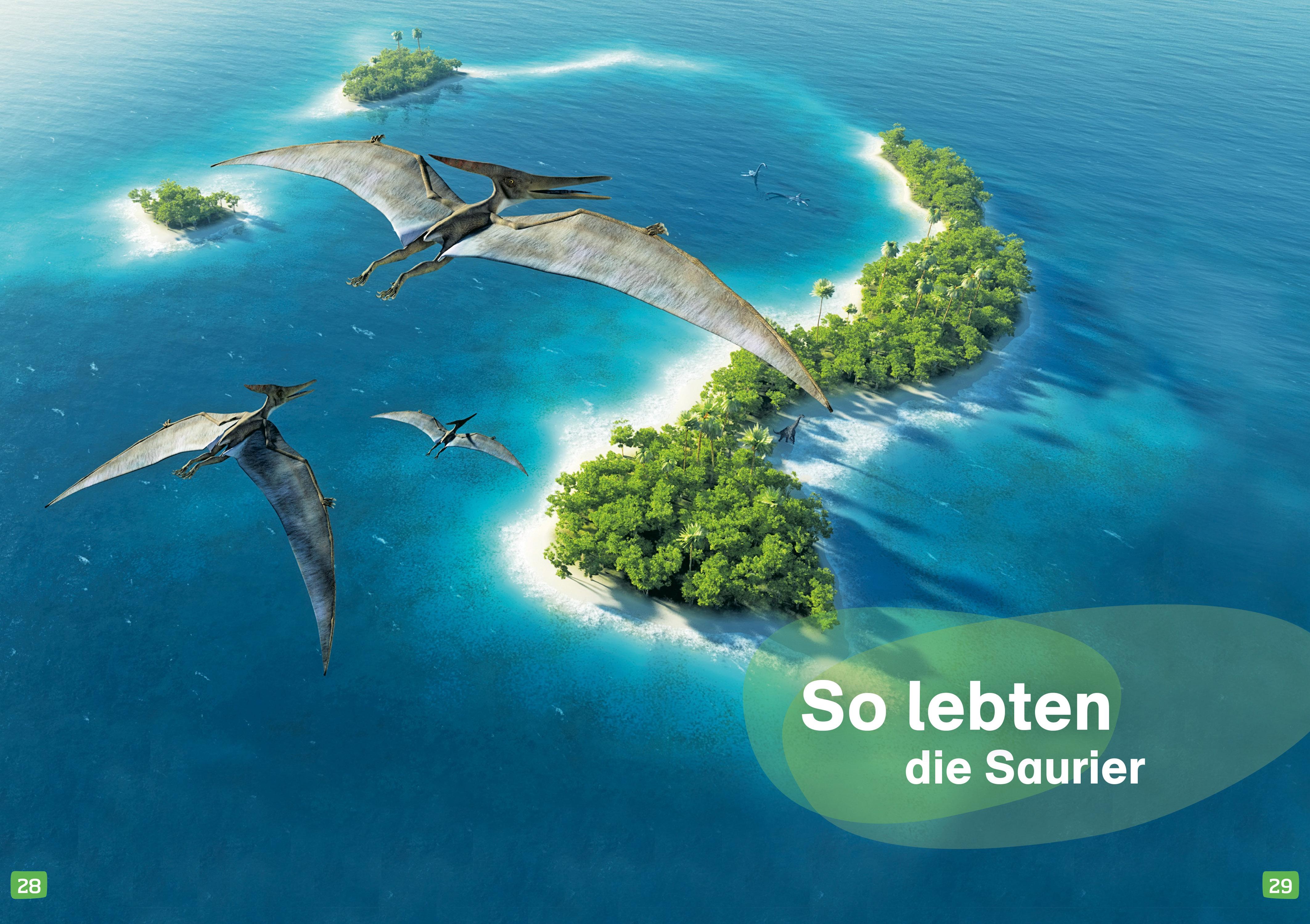 Beispielinhalt (Bild) WAS IST WAS Erstes Lesen. Dinosaurier