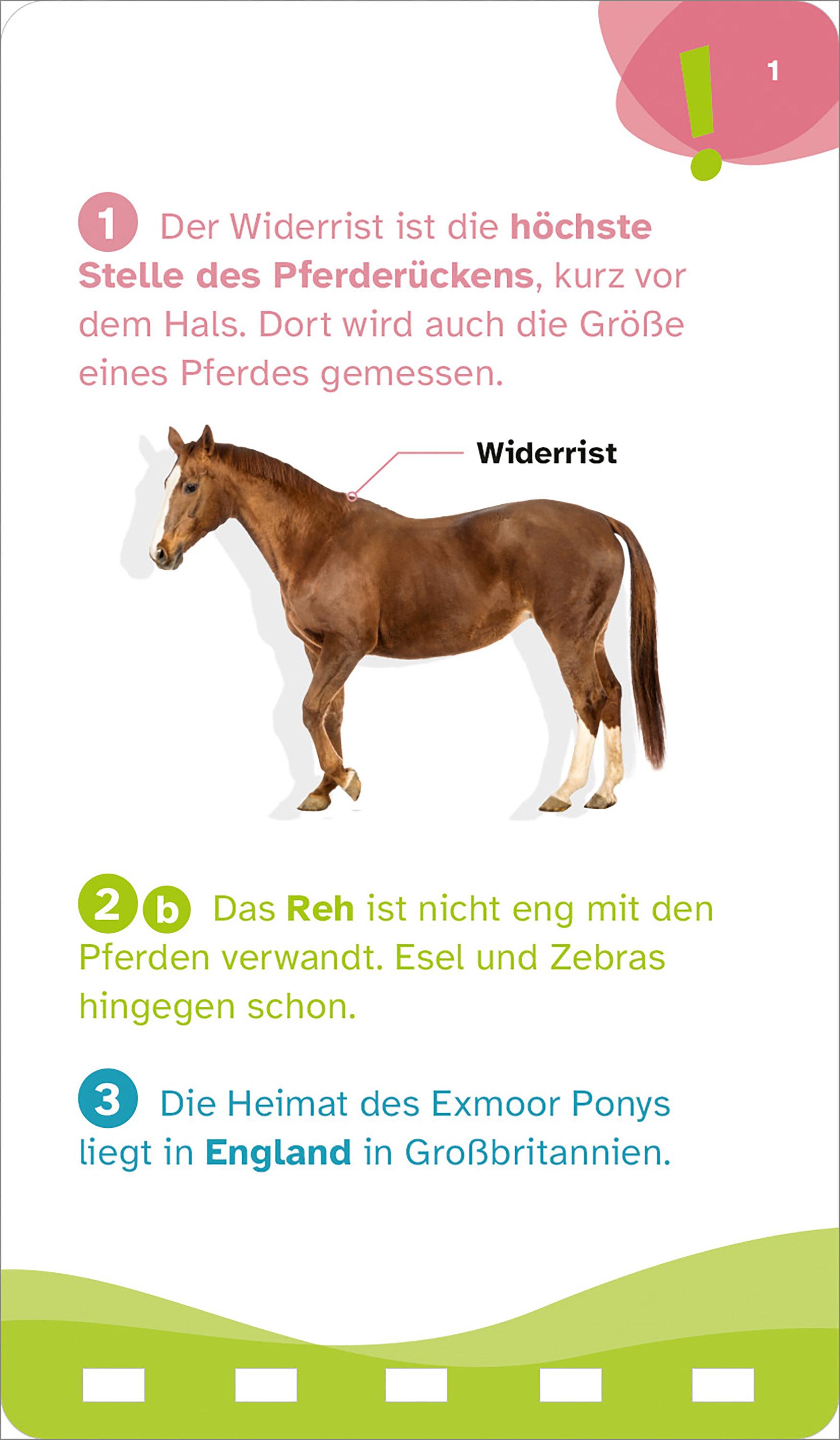 Beispielinhalt (Bild) WAS IST WAS Quiz Pferde