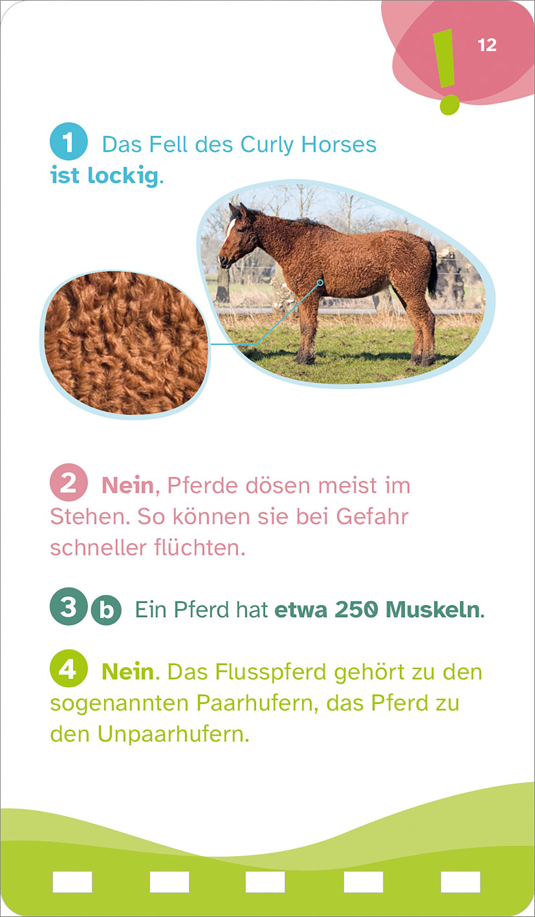 Beispielinhalt (Bild) WAS IST WAS Quiz Pferde