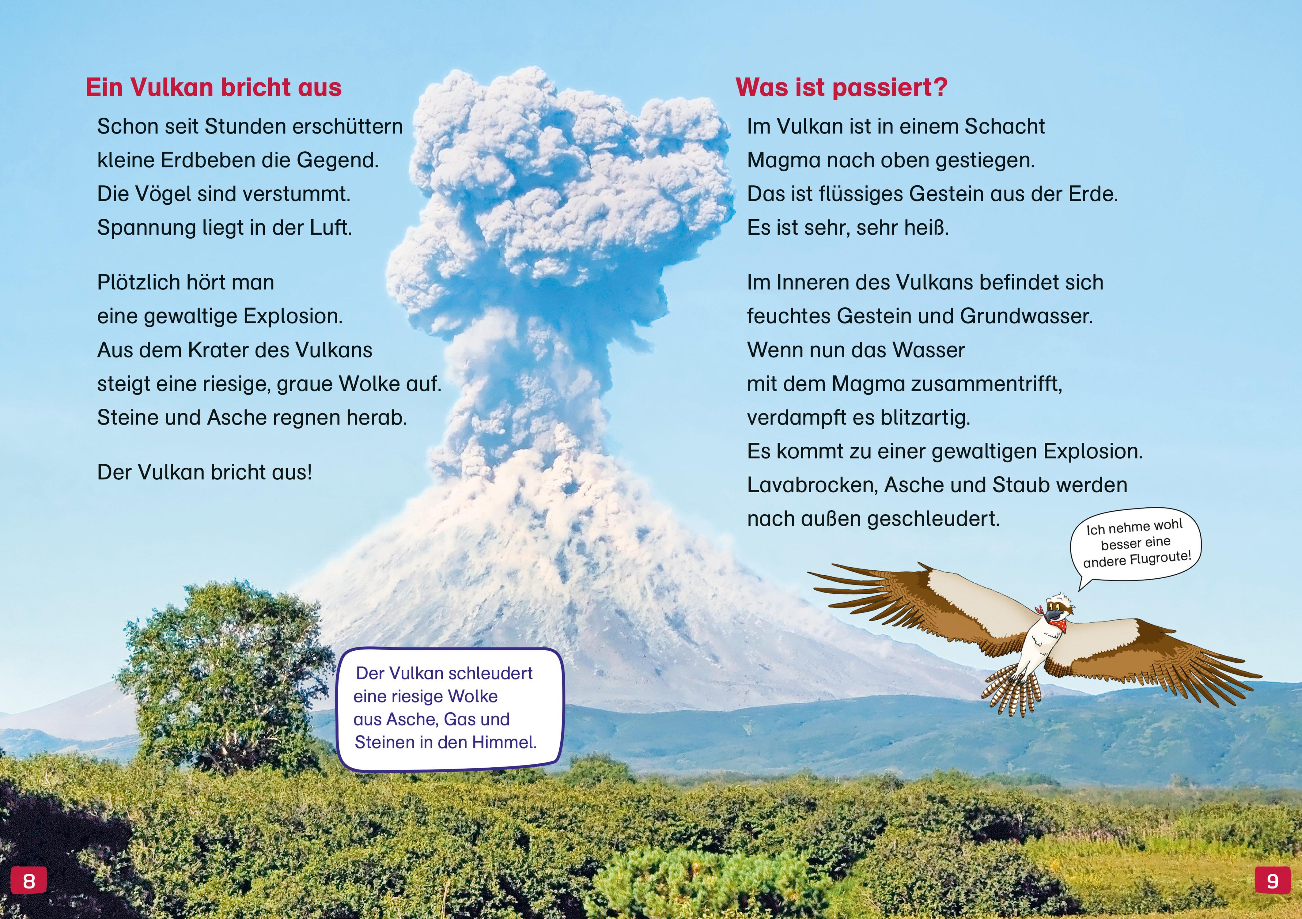 Beispielinhalt (Bild) WAS IST WAS Erstes Lesen. Vulkane