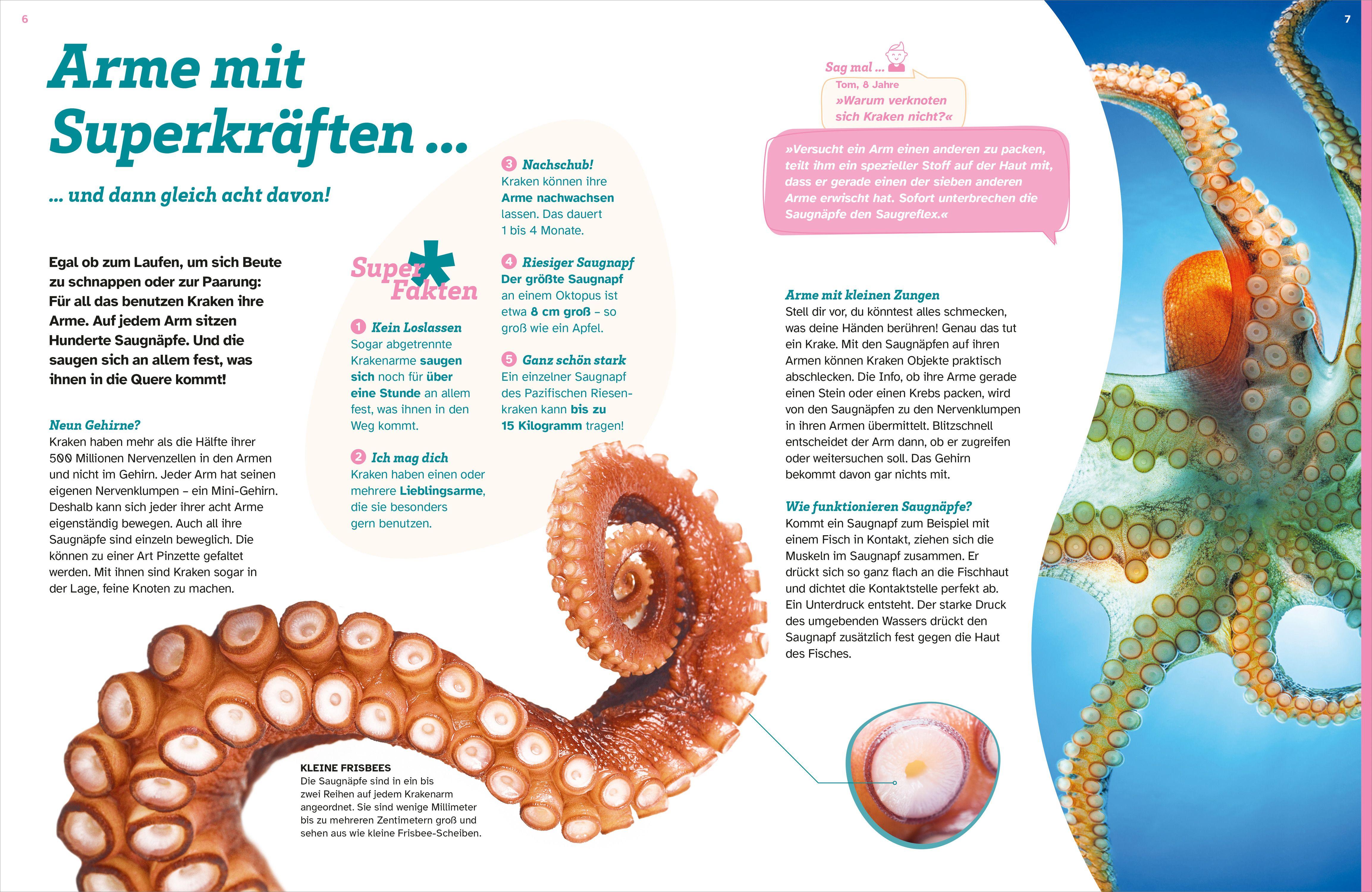 Beispielinhalt (Bild) WAS IST WAS Kraken. Acht Arme und drei Herzen