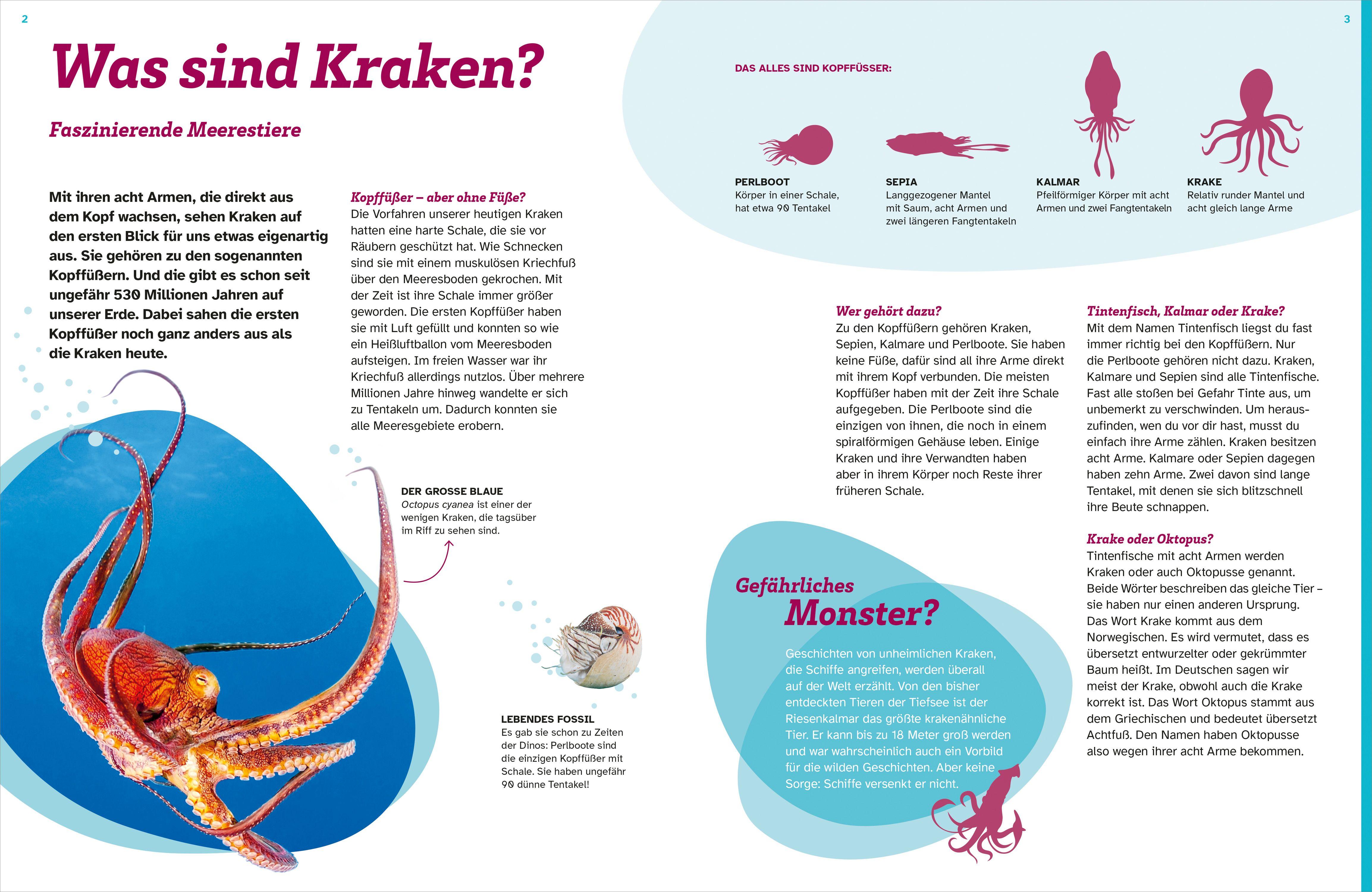 Beispielinhalt (Bild) WAS IST WAS Kraken. Acht Arme und drei Herzen