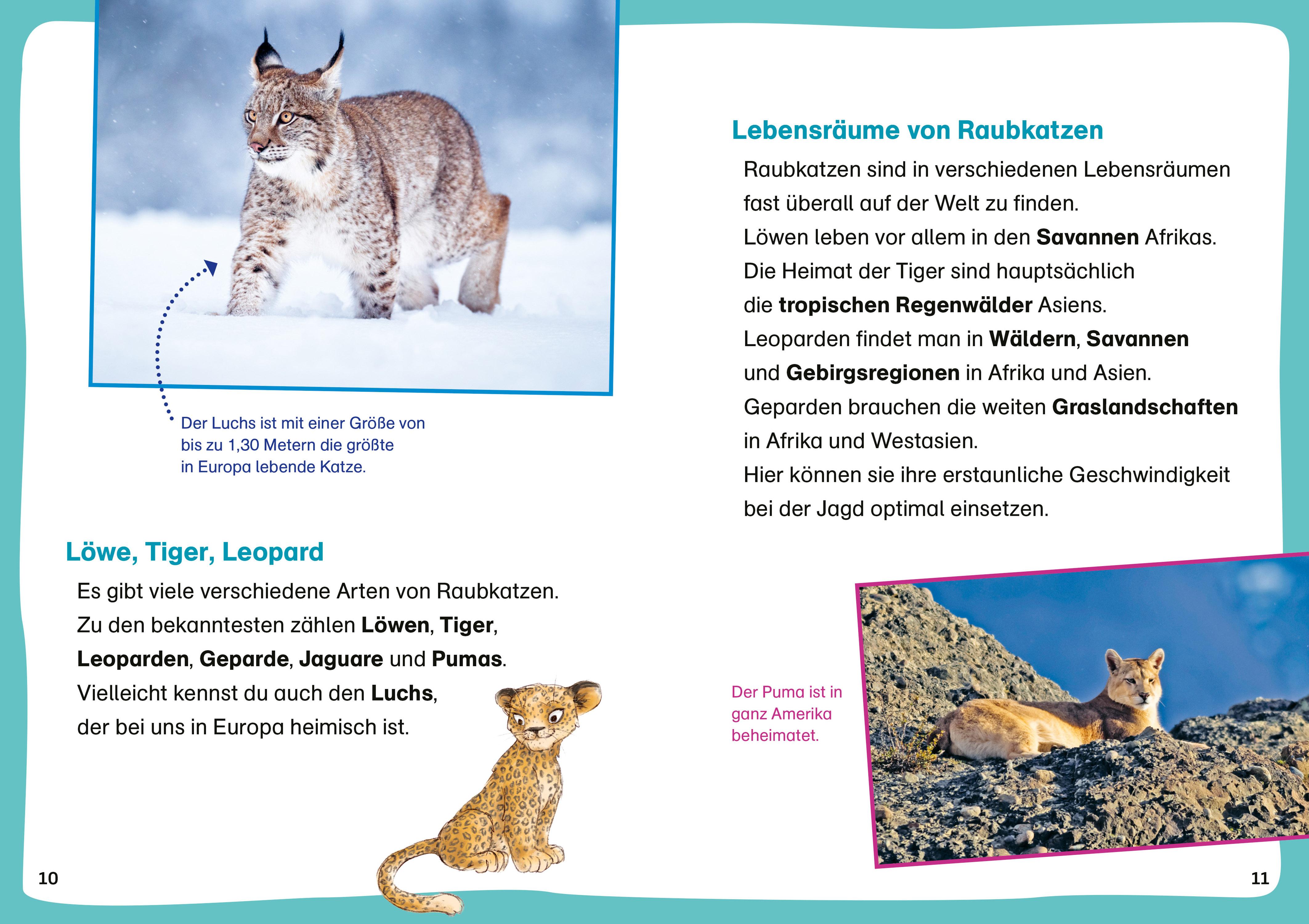 Beispielinhalt (Bild) WAS IST WAS Erst.Lesen/Leserätsel Raubkatzen
