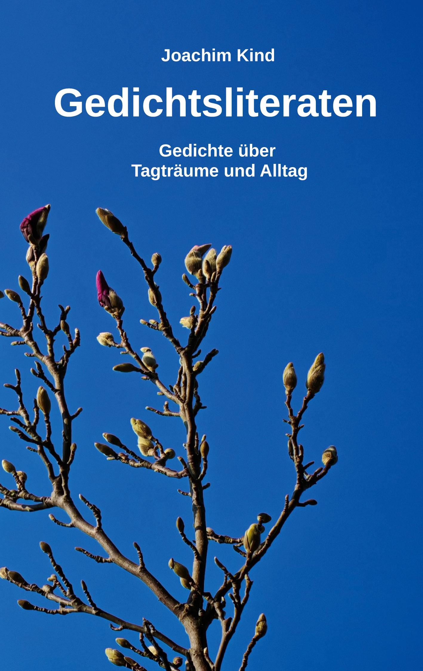 Vorderes Coverbild Gedichtsliteraten
