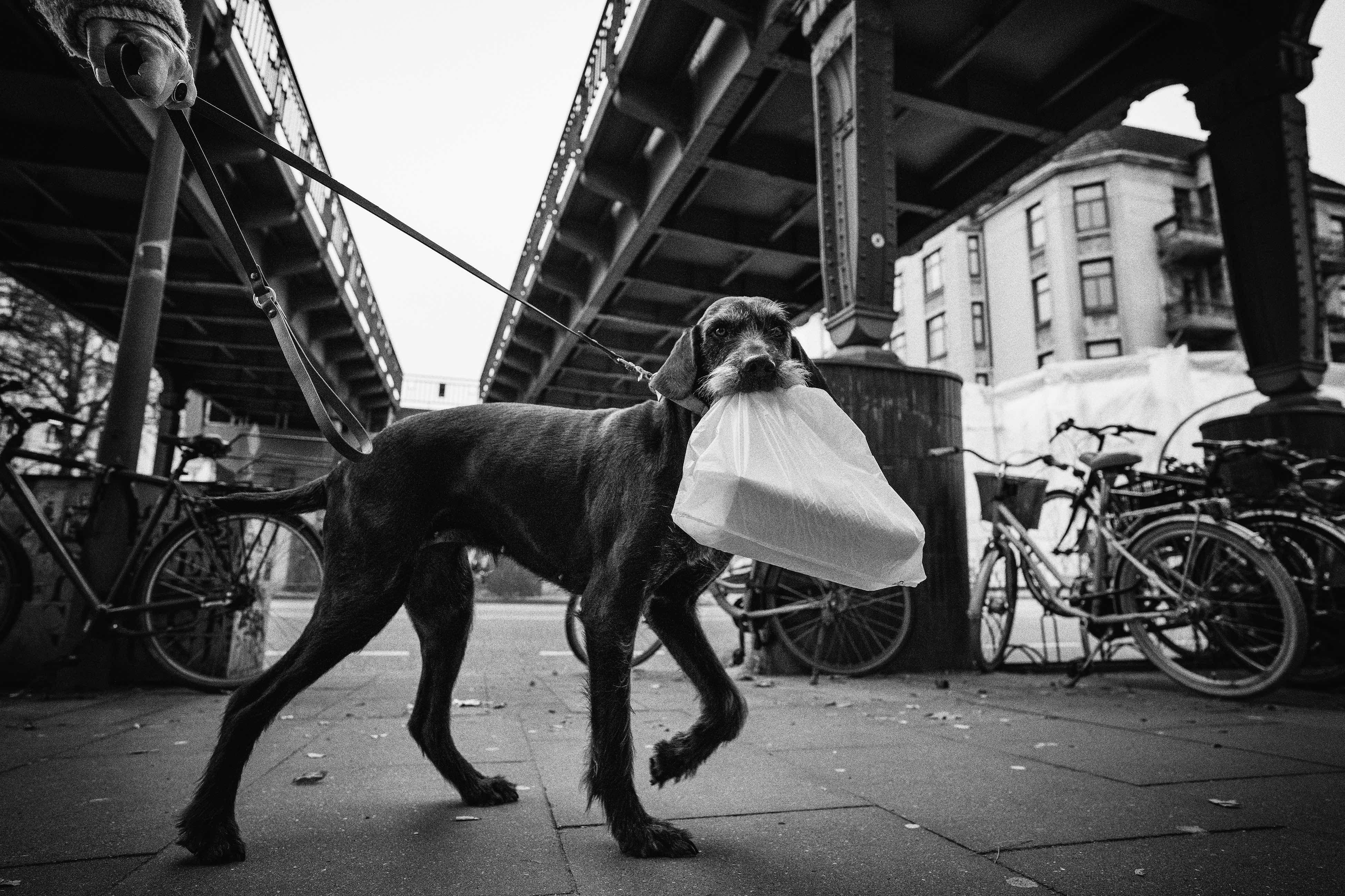 Beispielinhalt (Bild) Hamburg