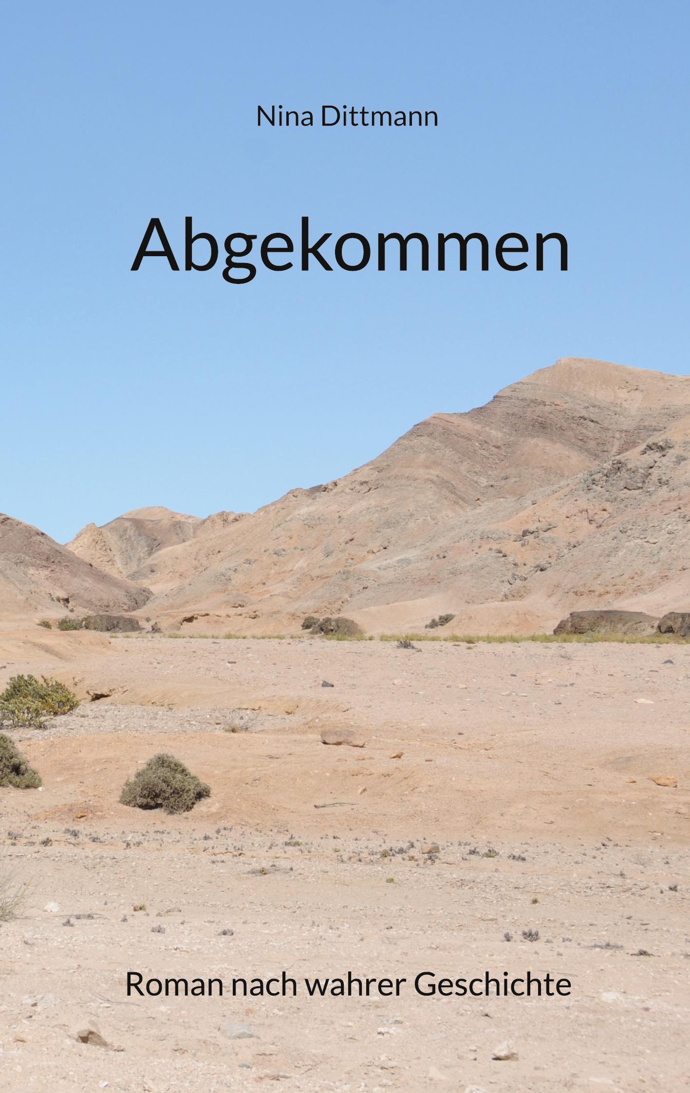 Vorderes Coverbild Abgekommen