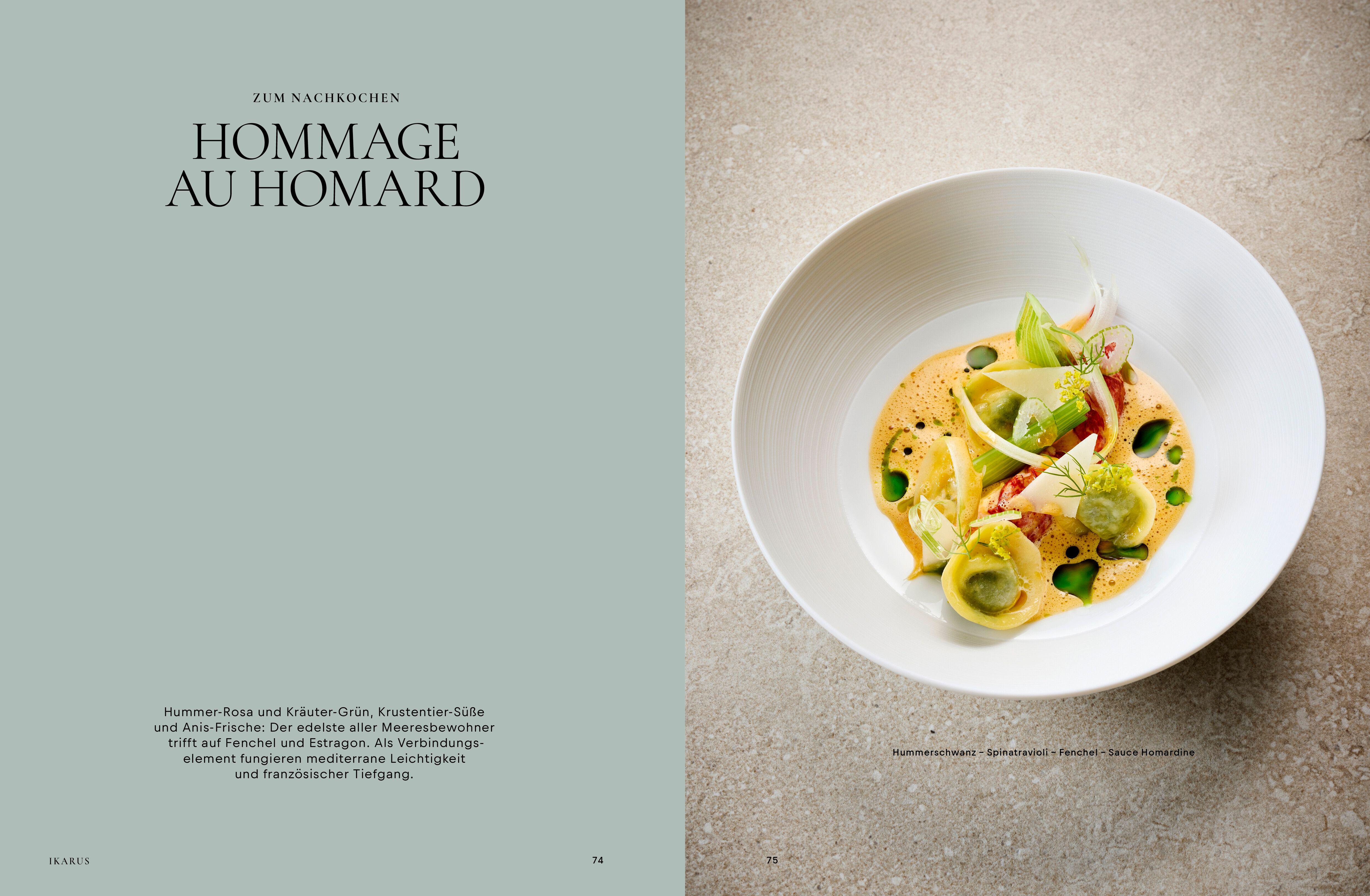 Beispielinhalt (Bild) Ikarus