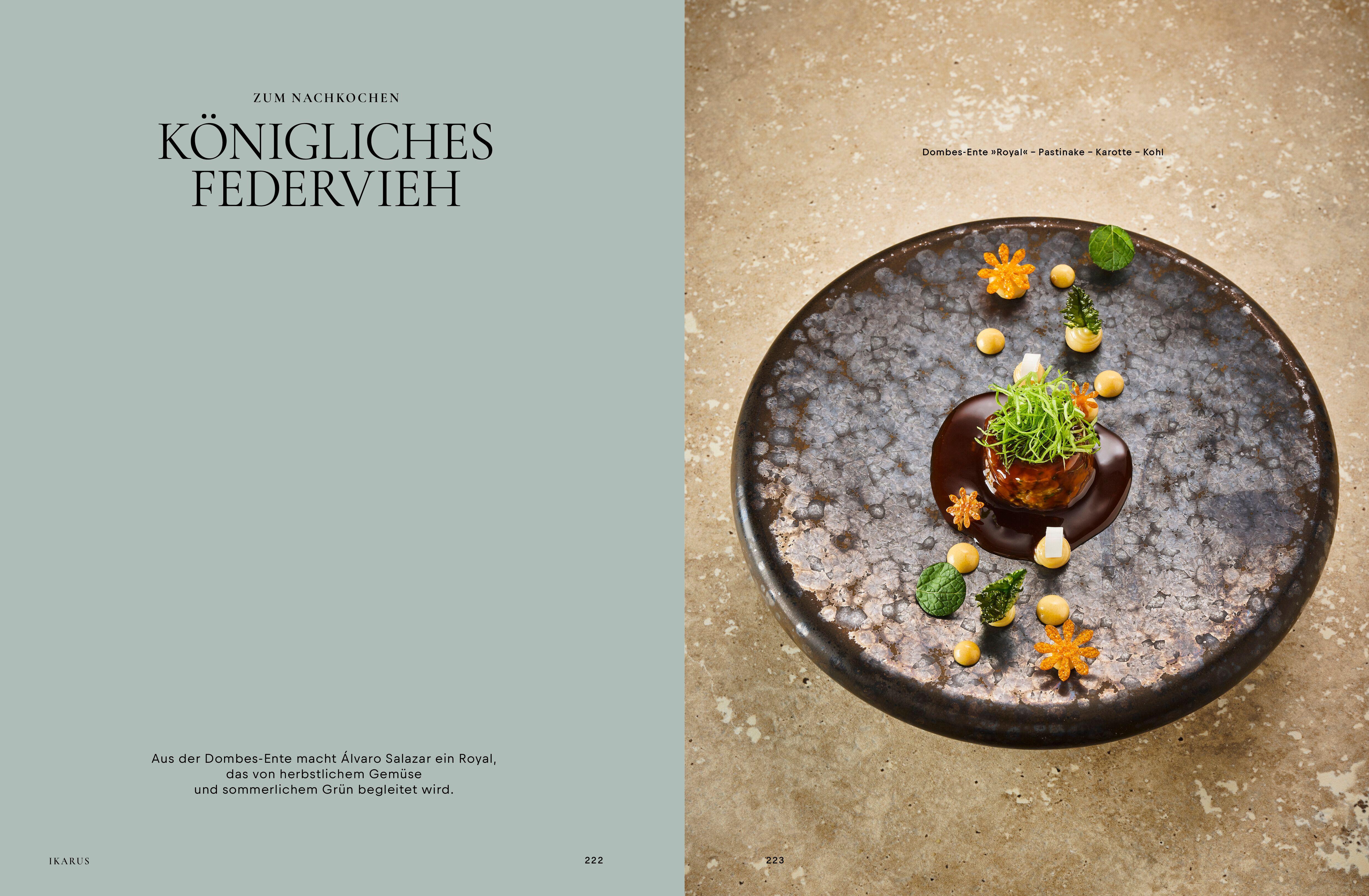 Beispielinhalt (Bild) Ikarus