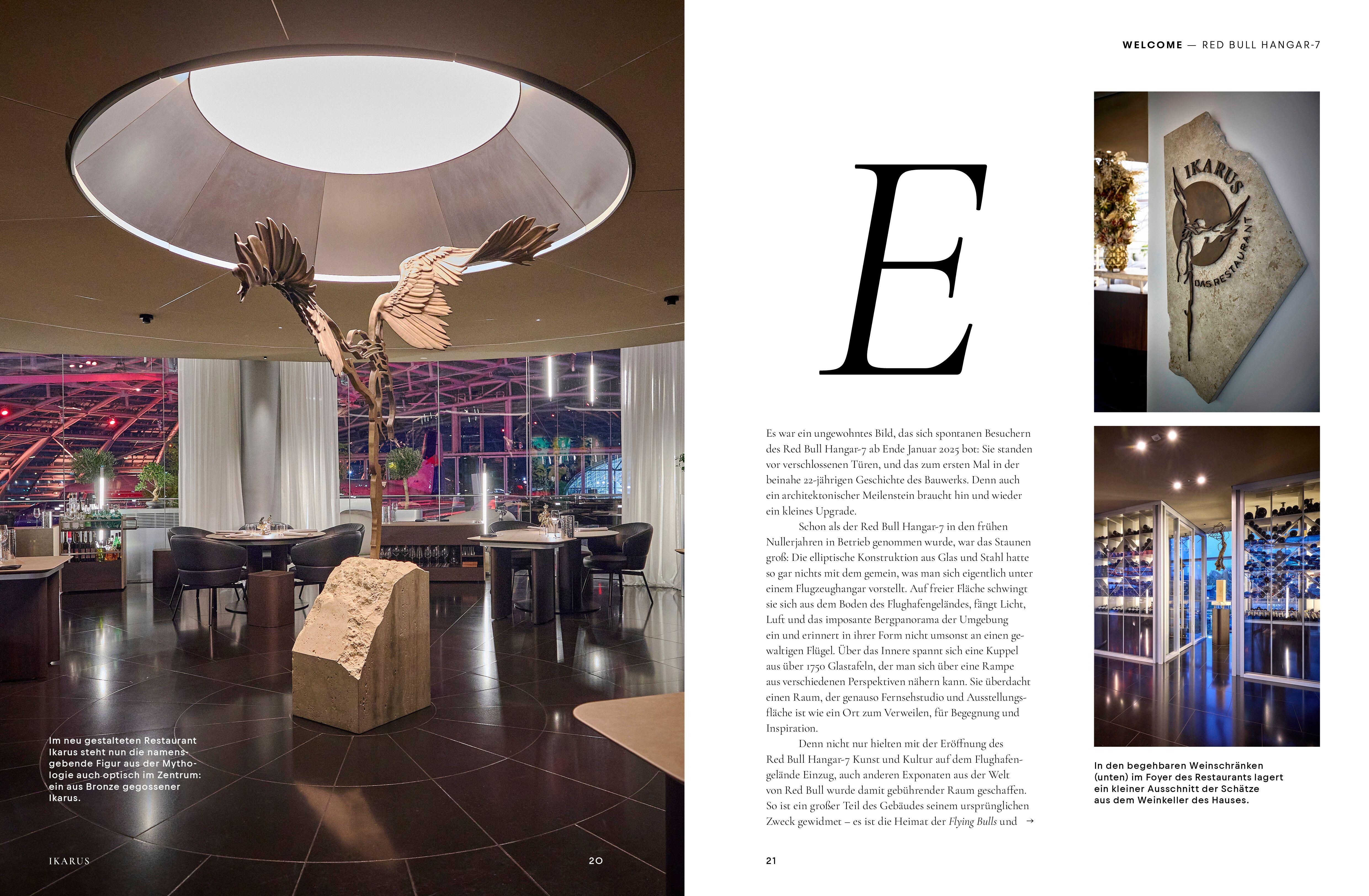 Beispielinhalt (Bild) Ikarus