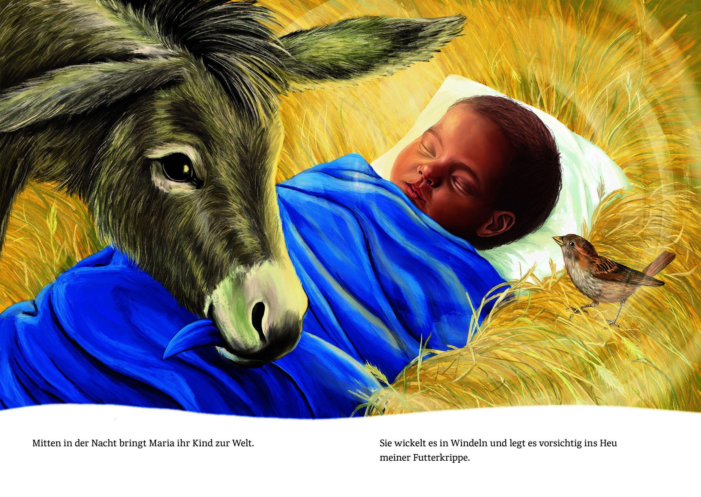 Beispielinhalt (Bild) Ich bin der kleine Esel aus der Weihnachtsgeschichte (Pappbilderbuch)