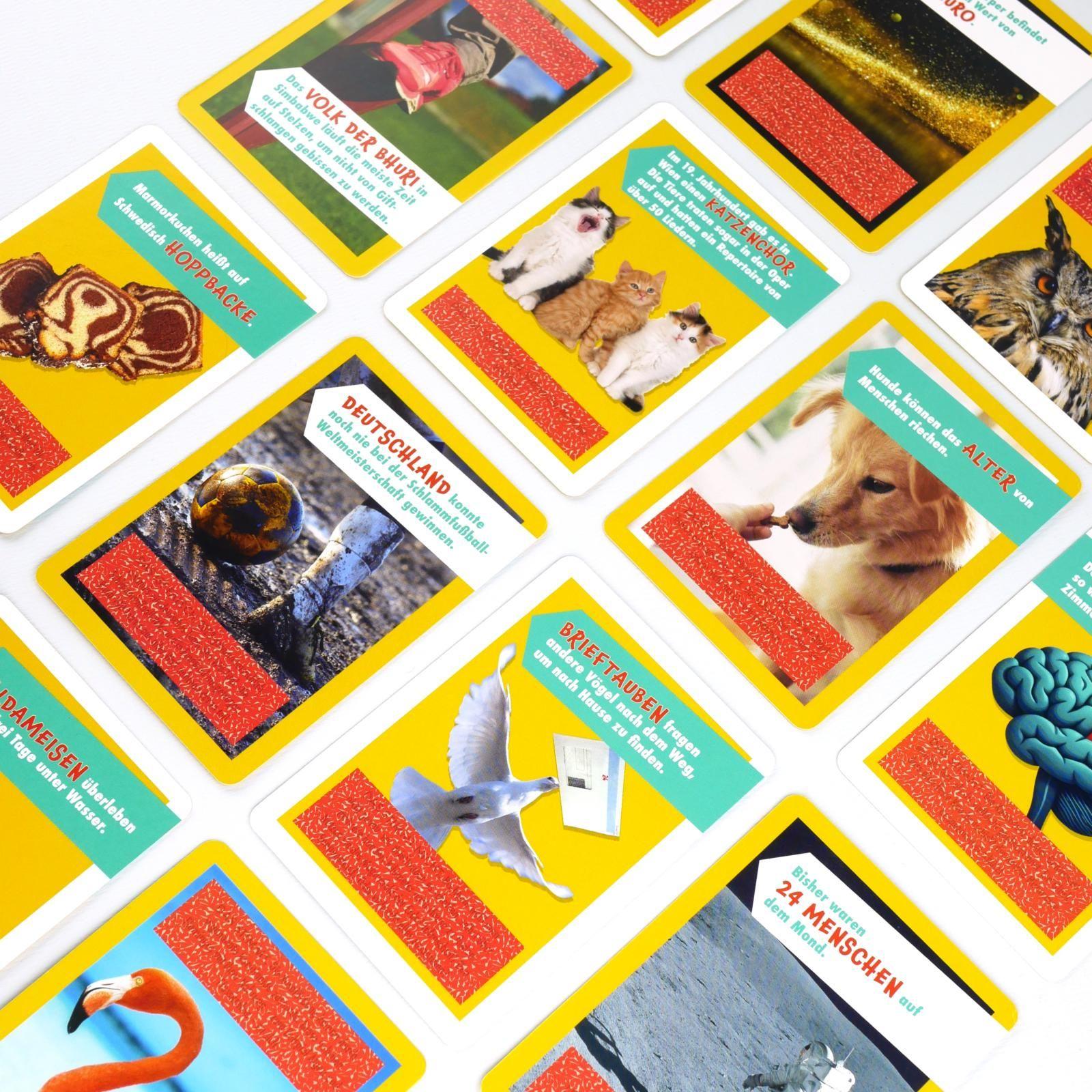 Beispielinhalt (Bild) Stimmts oder stimmts nicht? - Das einzigartige Wissensquiz für Kinder ab 8 Jahren