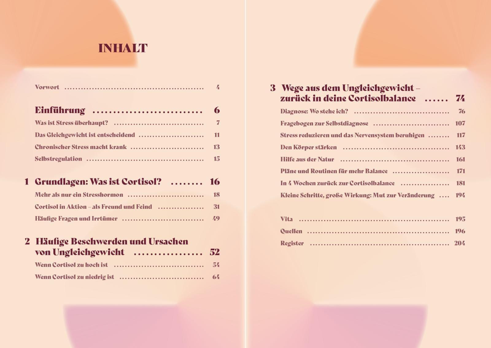 Beispielinhalt (Bild) Die Cortisol-Formel