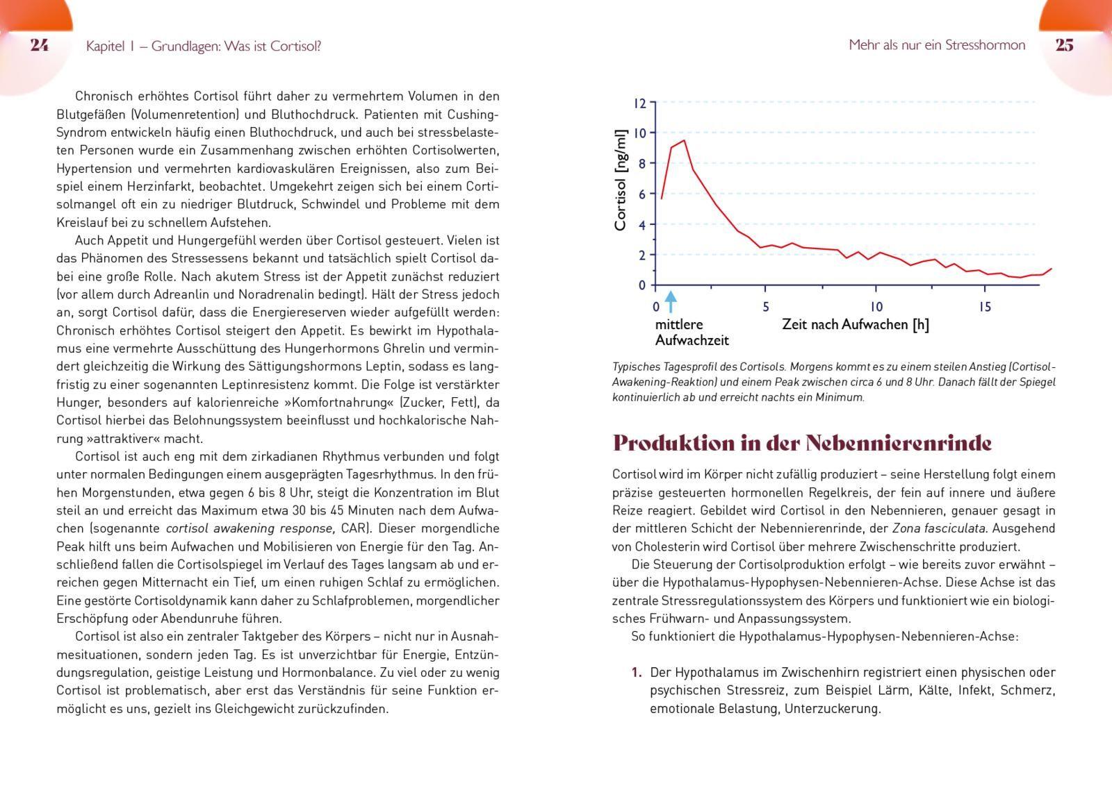 Beispielinhalt (Bild) Die Cortisol-Formel