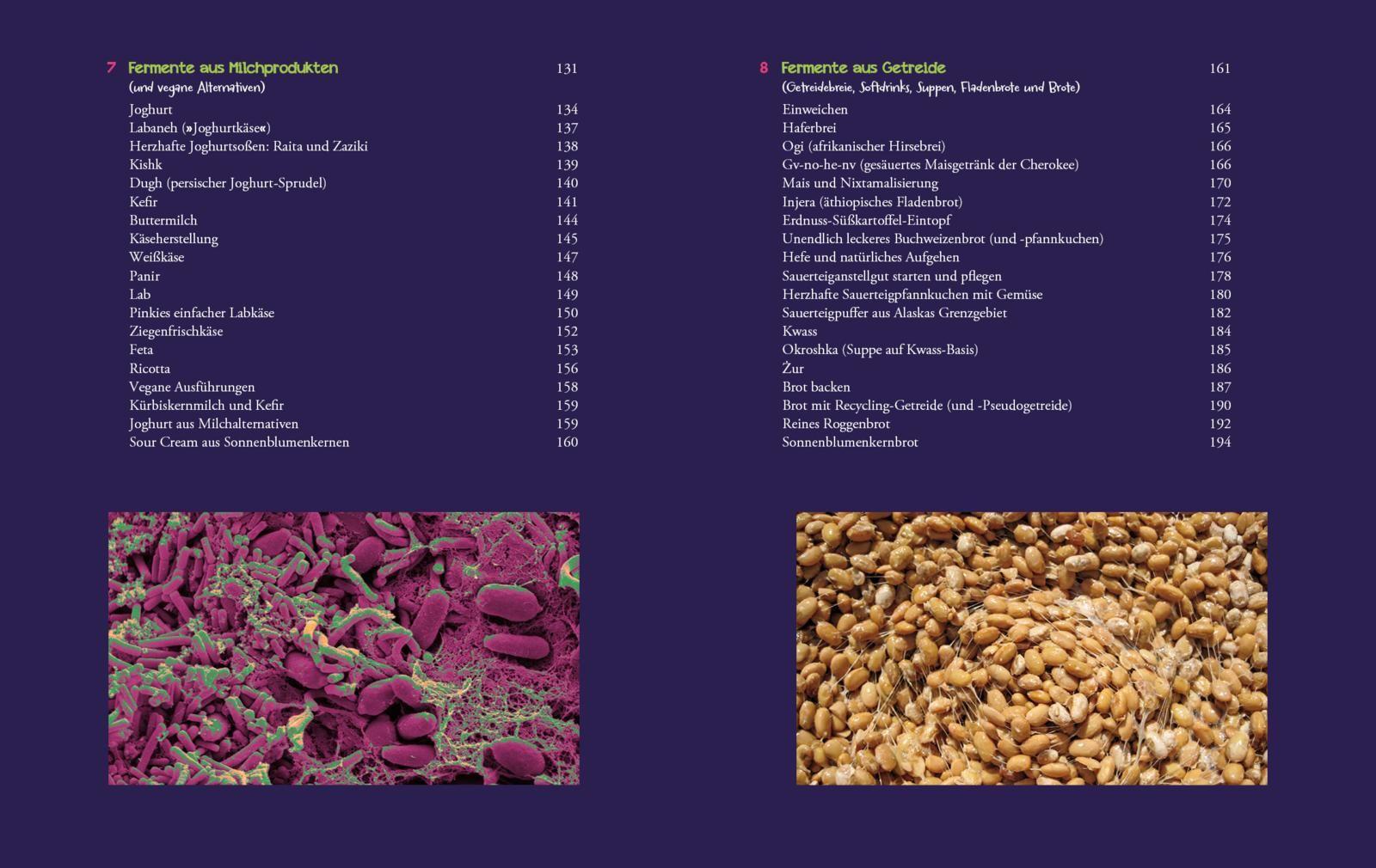 Beispielinhalt (Bild) Die Fermentier-Bibel