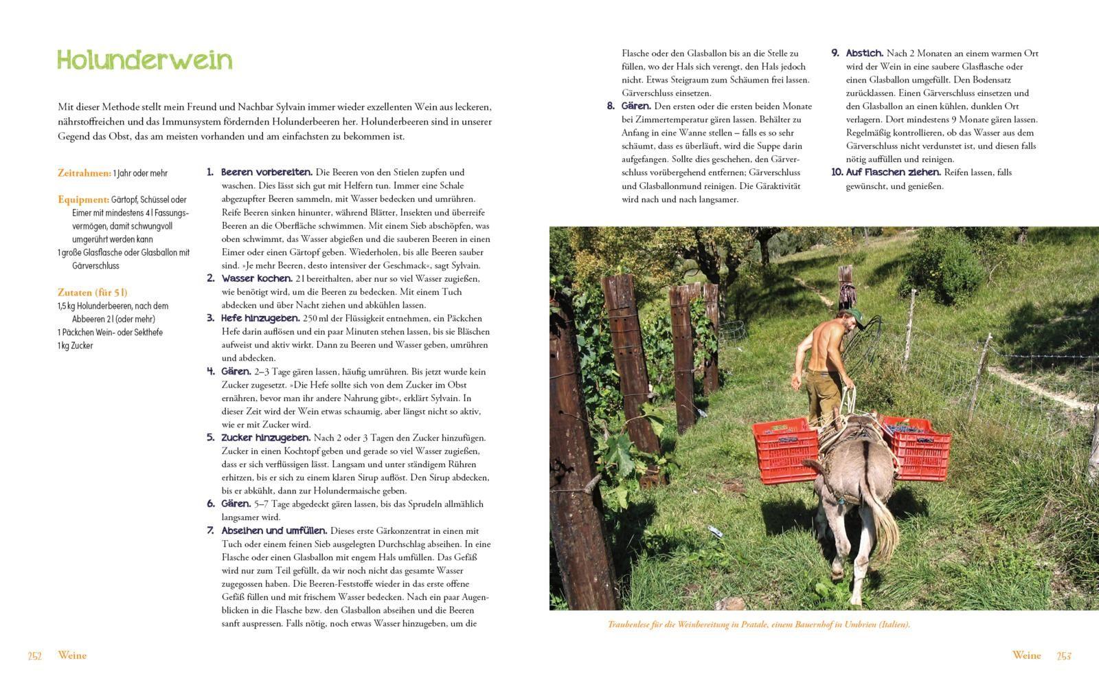 Beispielinhalt (Bild) Die Fermentier-Bibel