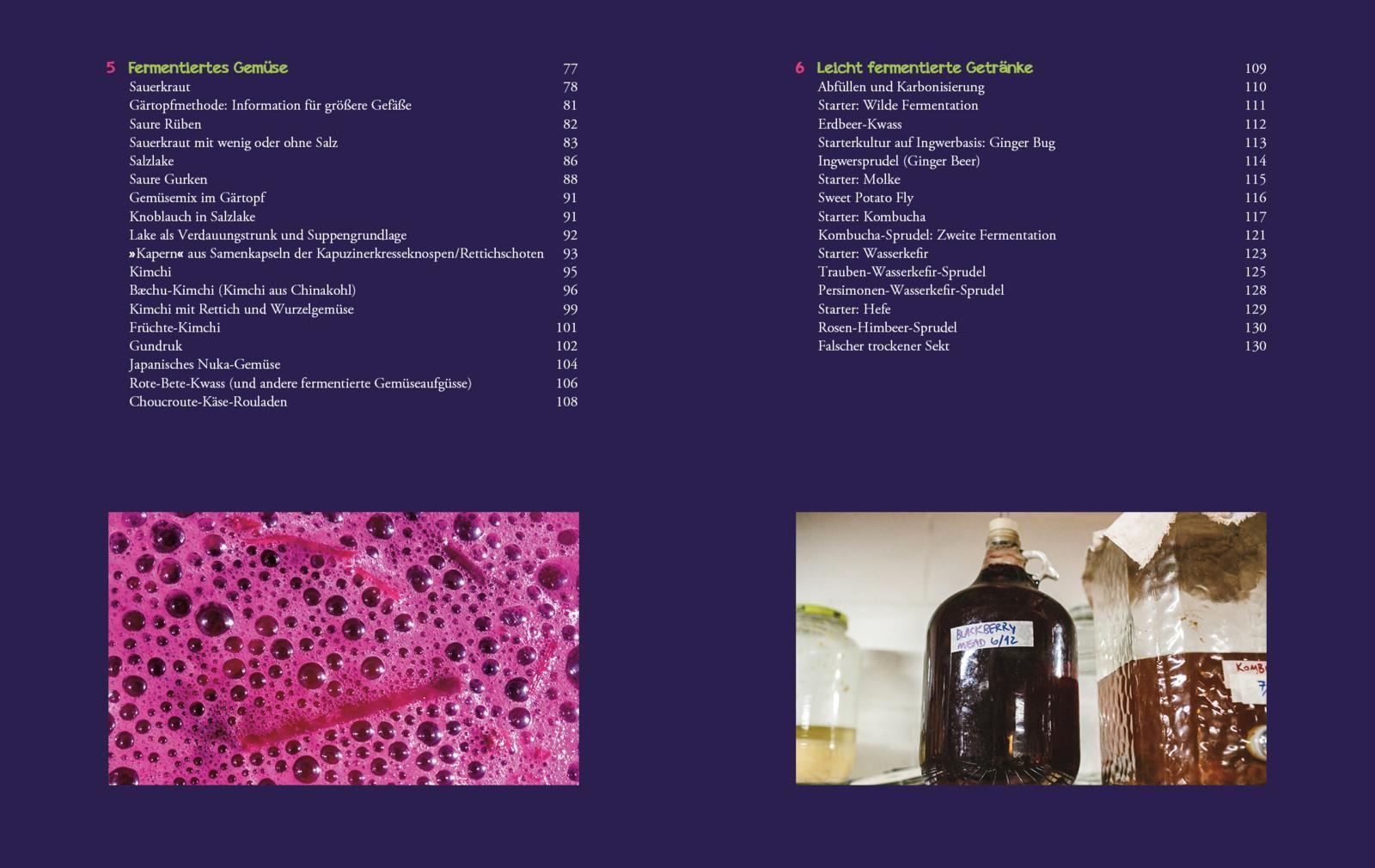 Beispielinhalt (Bild) Die Fermentier-Bibel