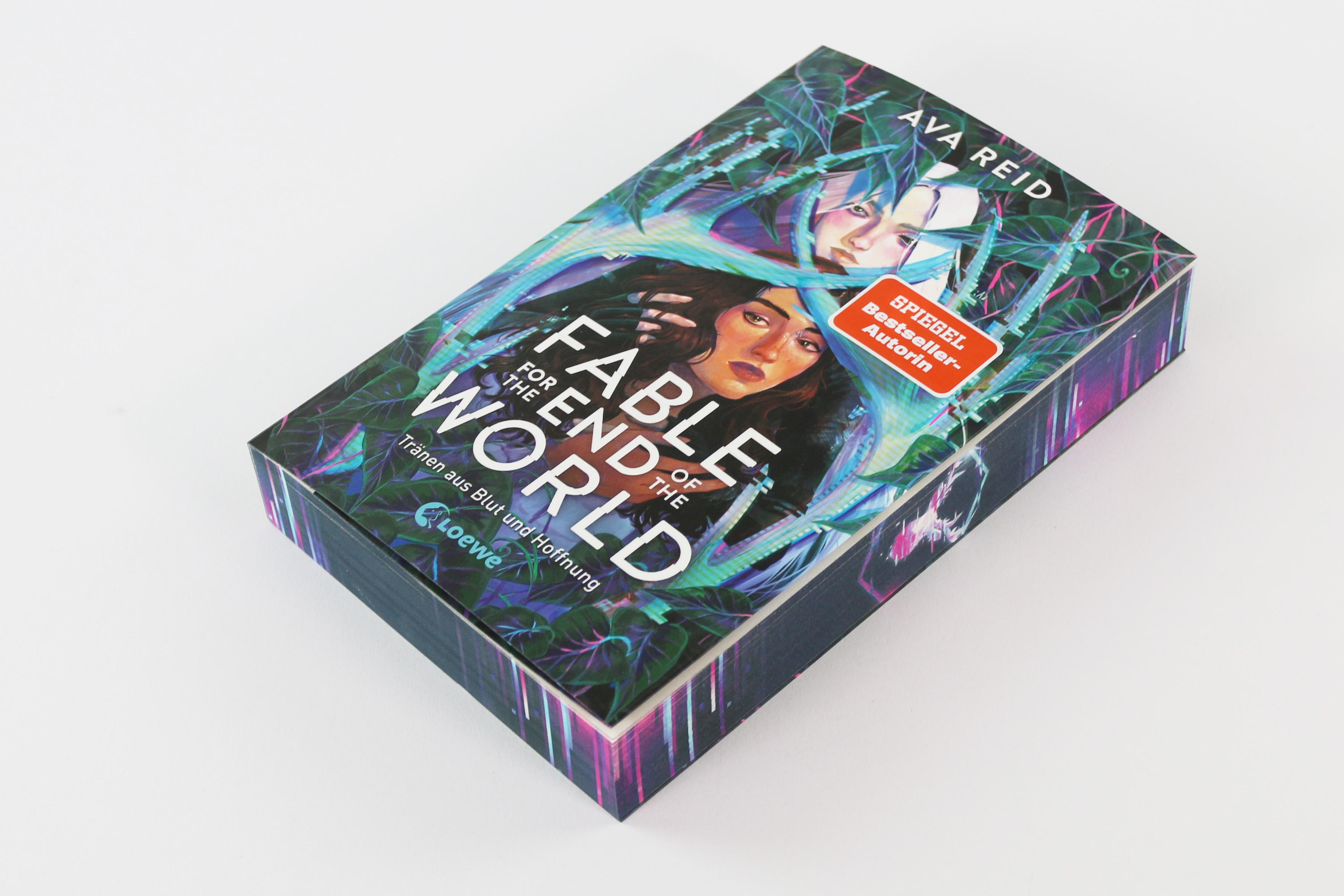 Beispielinhalt (Bild) Fable for the End of the World