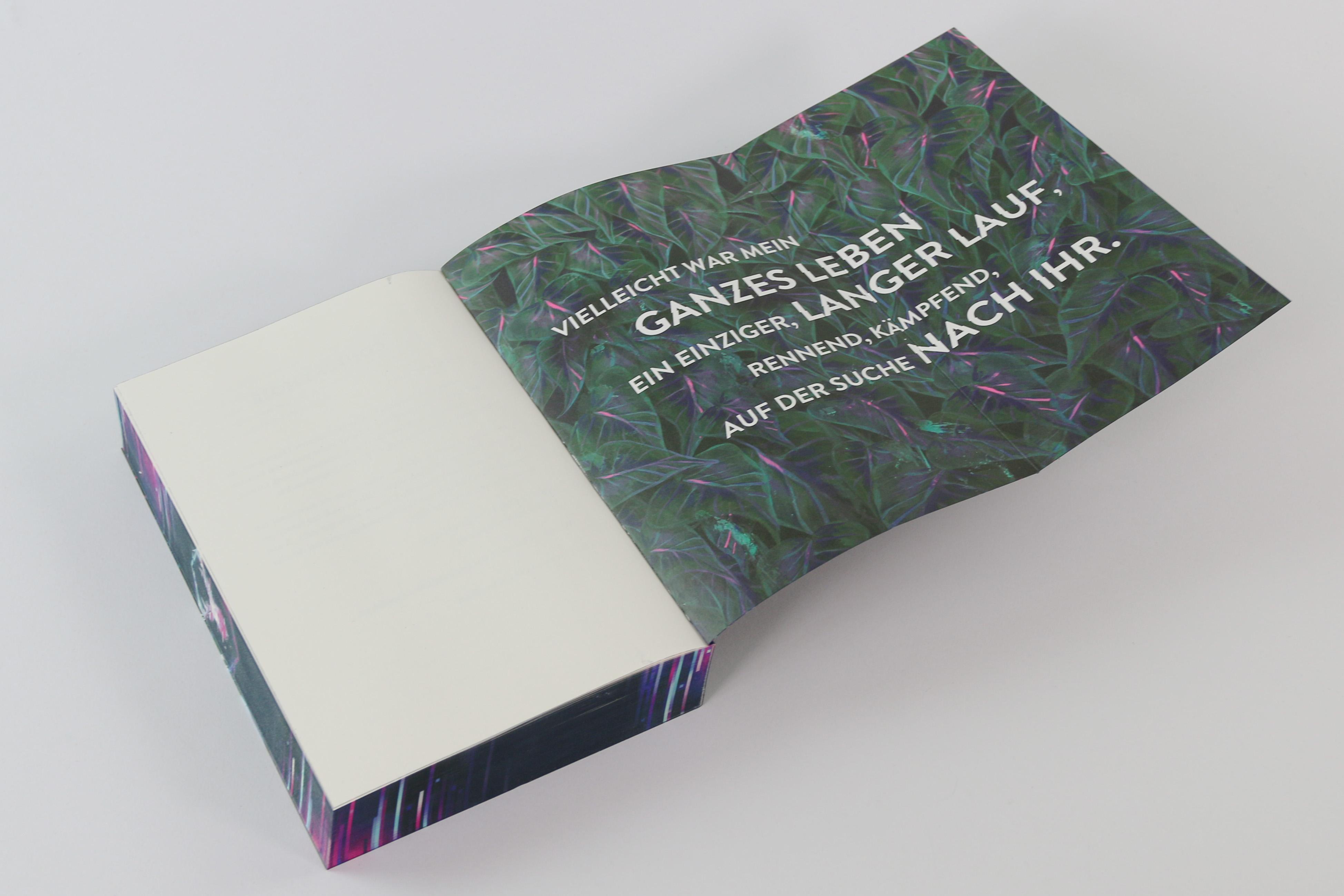 Beispielinhalt (Bild) Fable for the End of the World