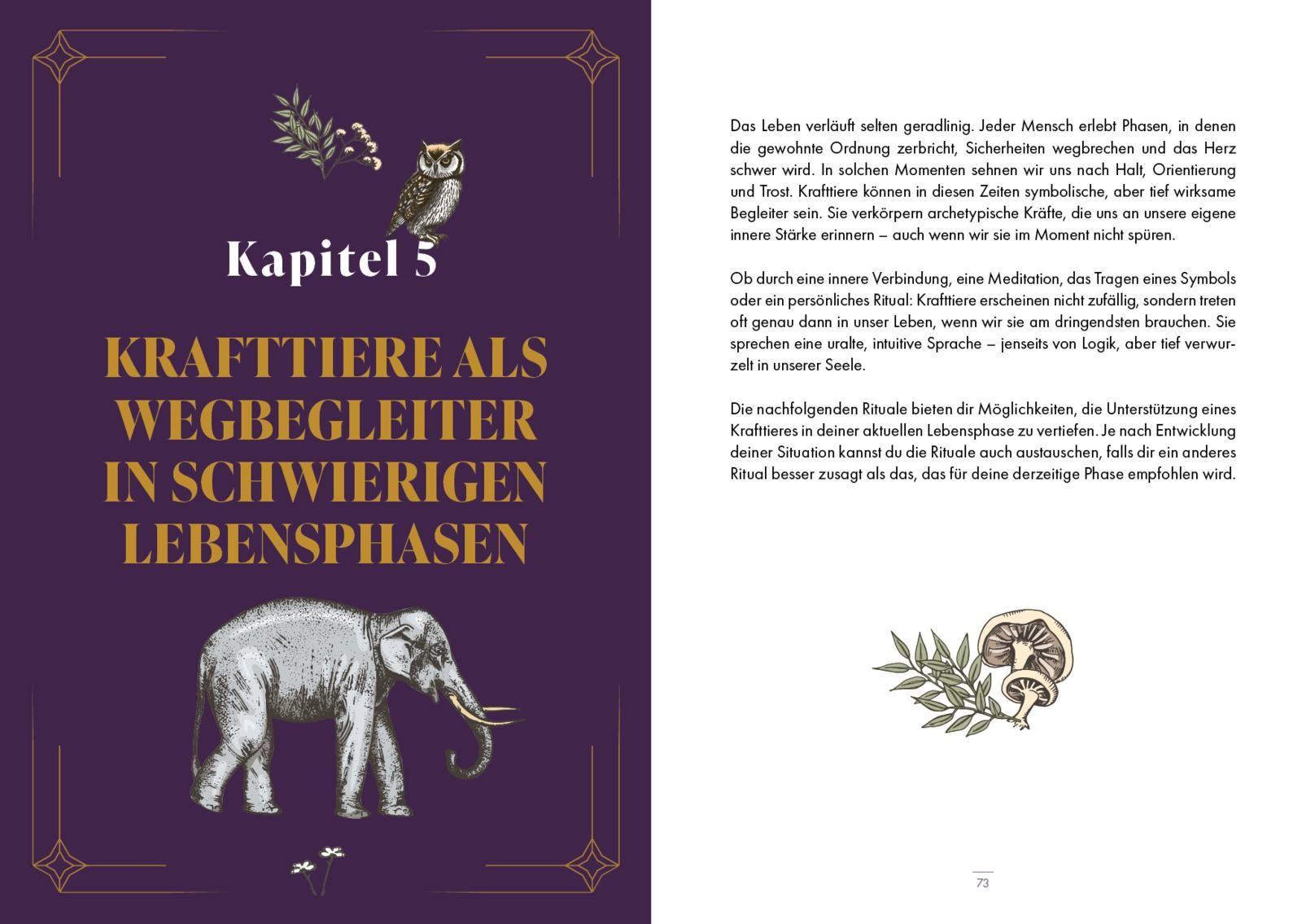 Beispielinhalt (Bild) Krafttiere - Gefährten der Seele